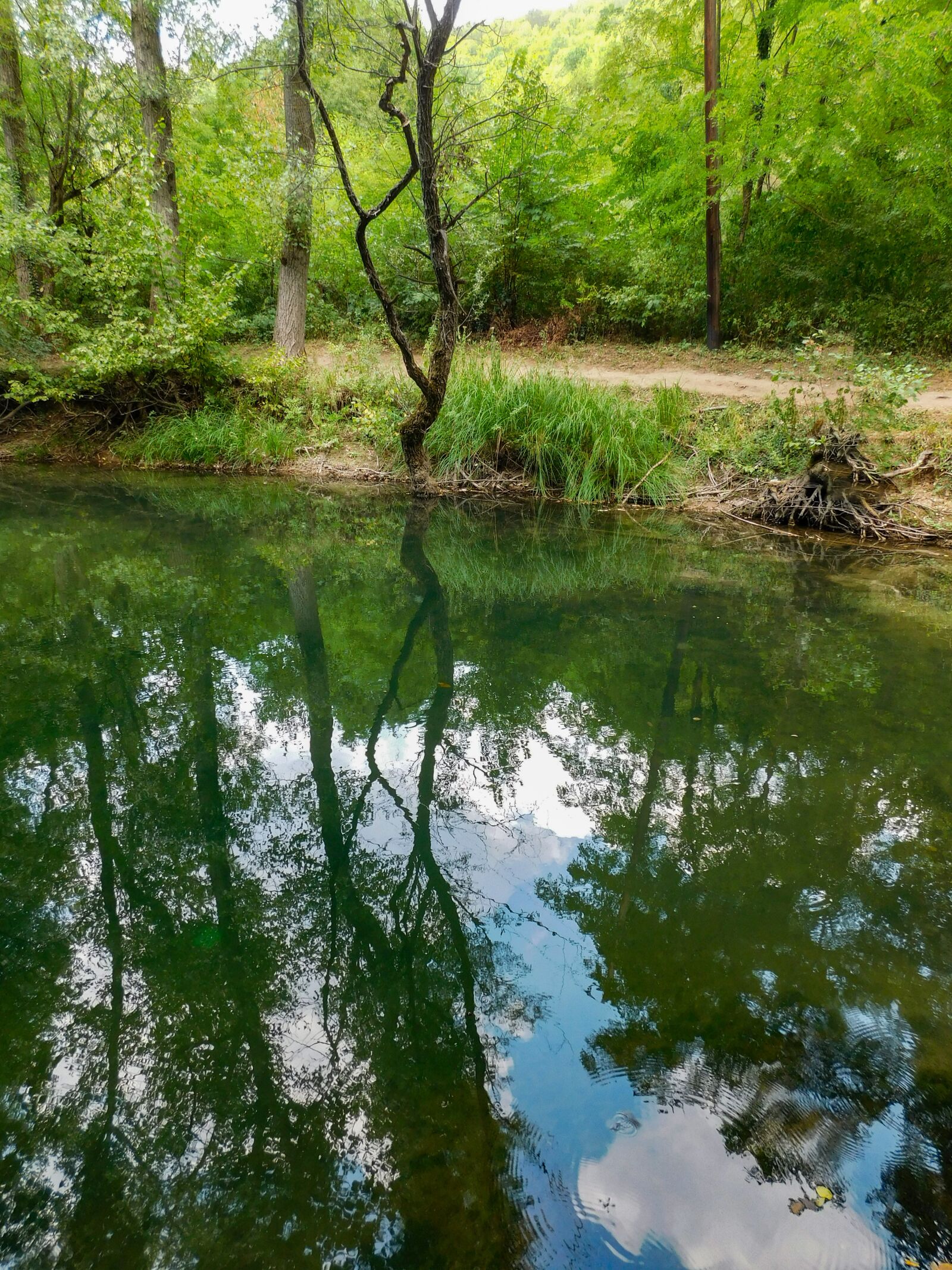 Nikon Coolpix L840 sample photo. Reflection, water, forest photography