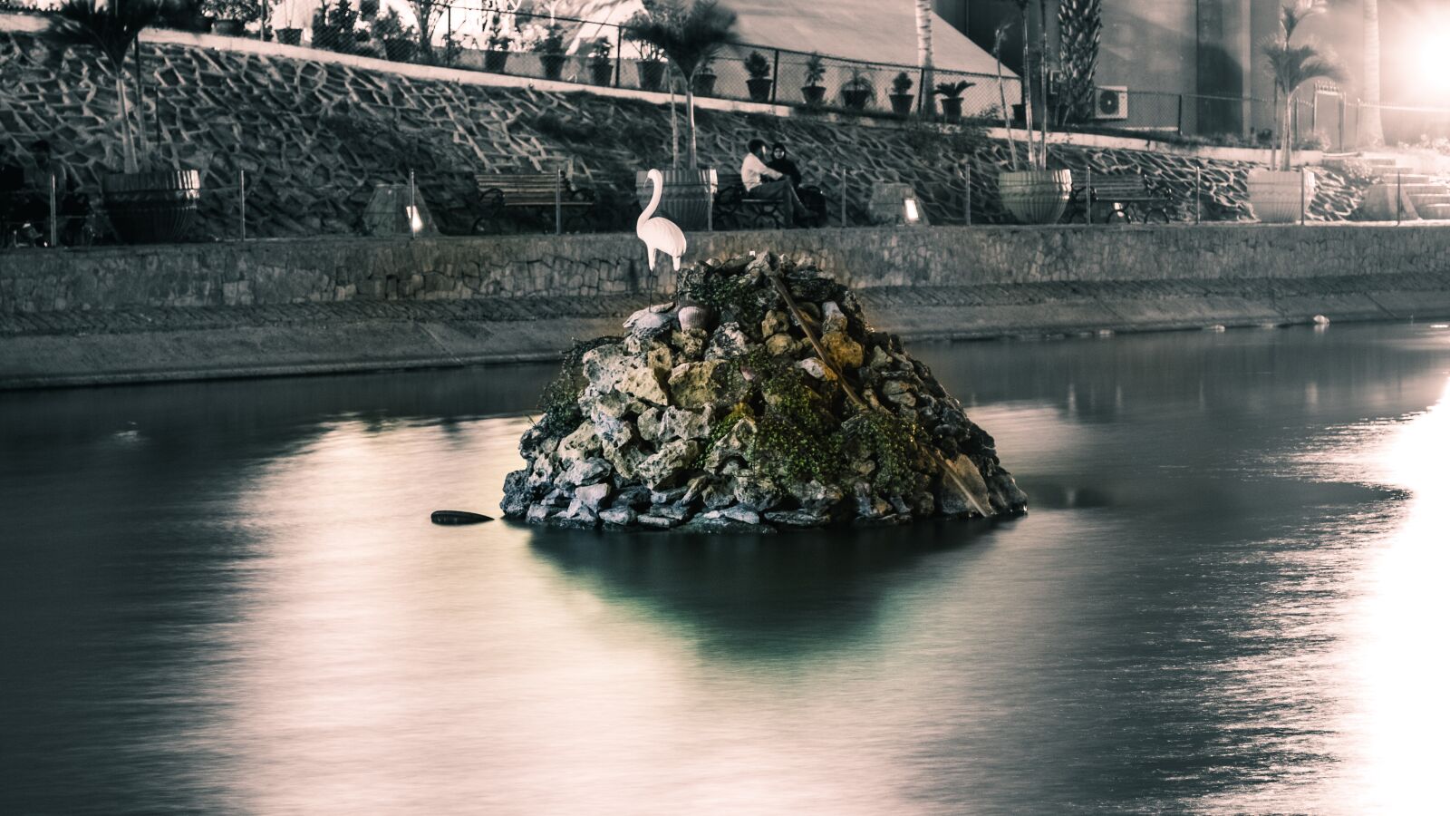 Canon EOS 700D (EOS Rebel T5i / EOS Kiss X7i) sample photo. Flamingo, river, nature photography