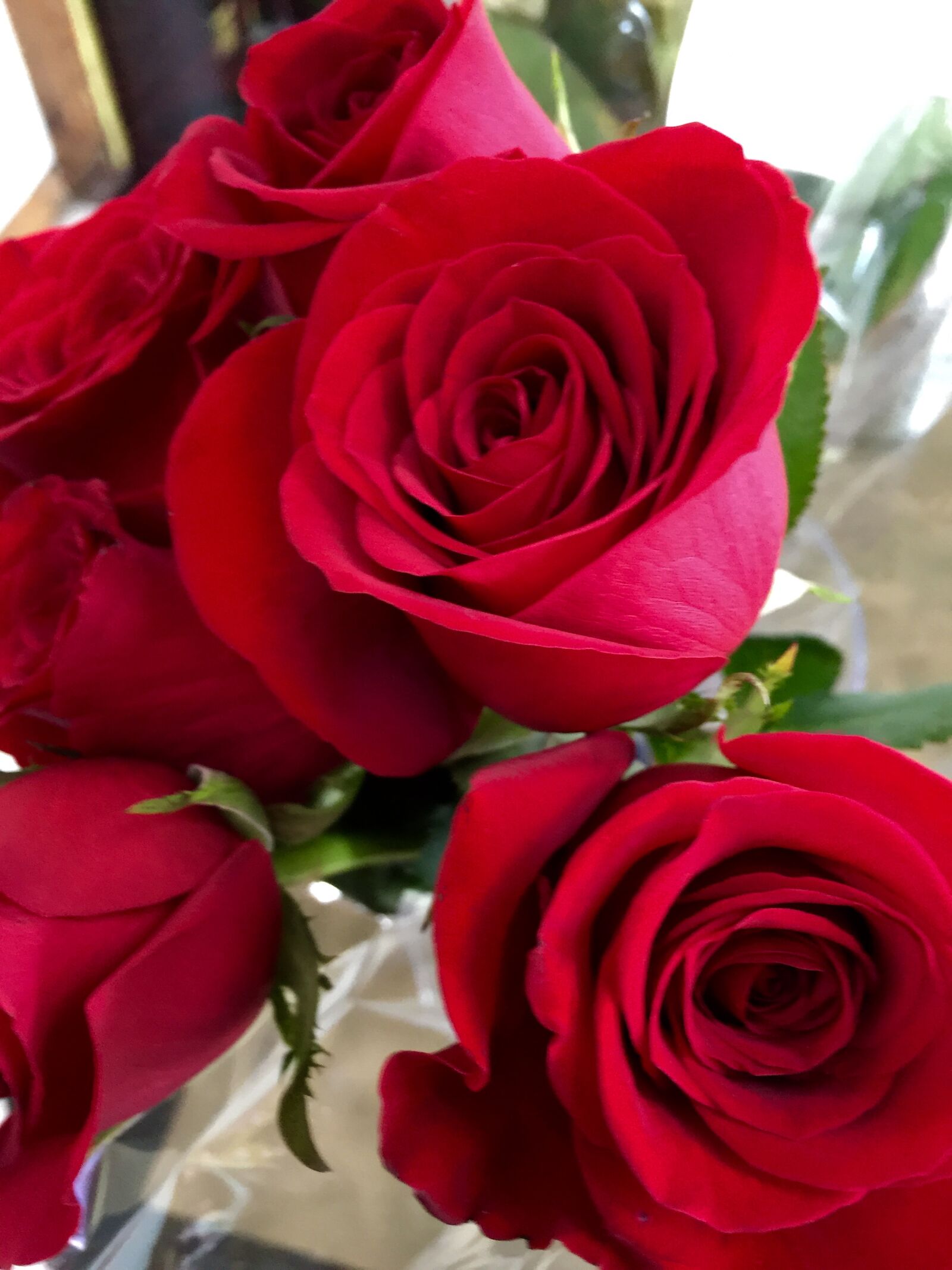 iPhone 6 Plus back camera 4.15mm f/2.2 sample photo. Flowers, love, nature, red photography