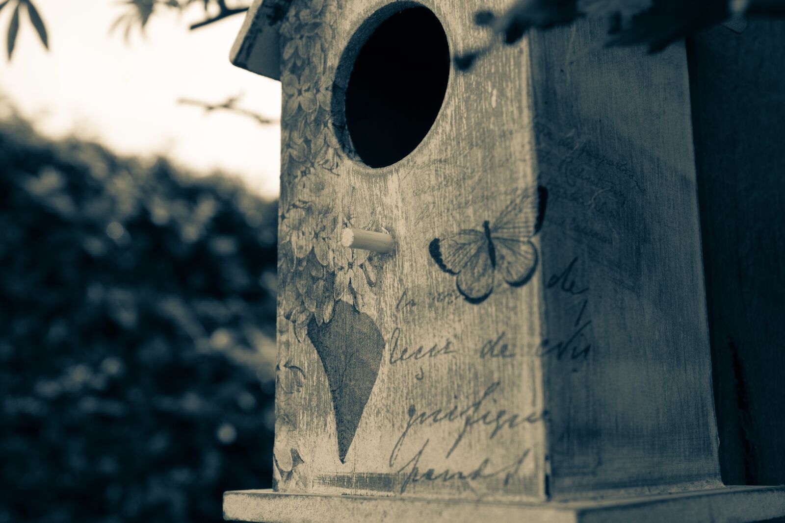 Canon EOS 1300D (EOS Rebel T6 / EOS Kiss X80) sample photo. Birdhouse, birds nest, split photography