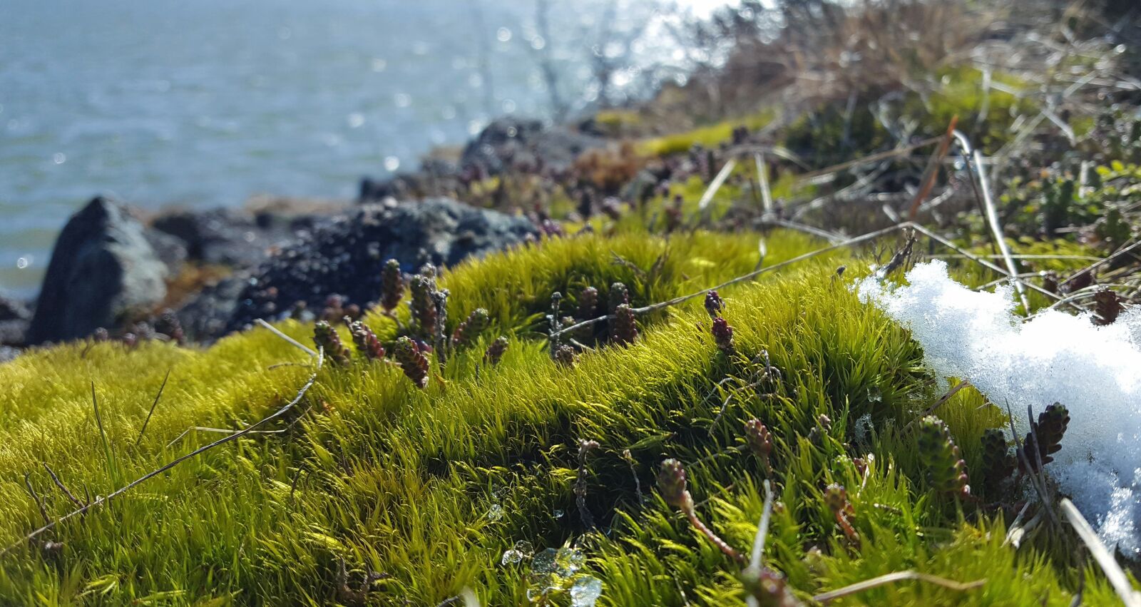Samsung Galaxy S6 sample photo. Nature, waters, landscape photography