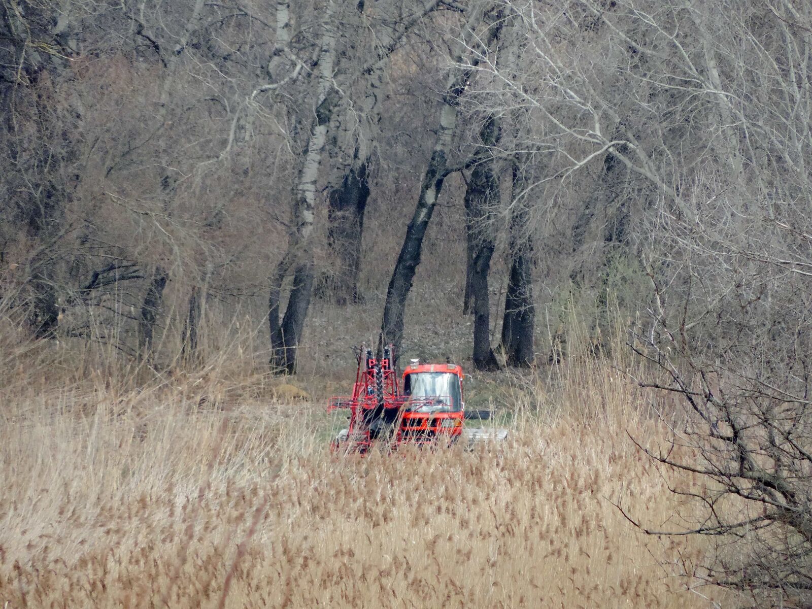 Nikon Coolpix P520 sample photo. Countryside, machine, marshland, tractor photography