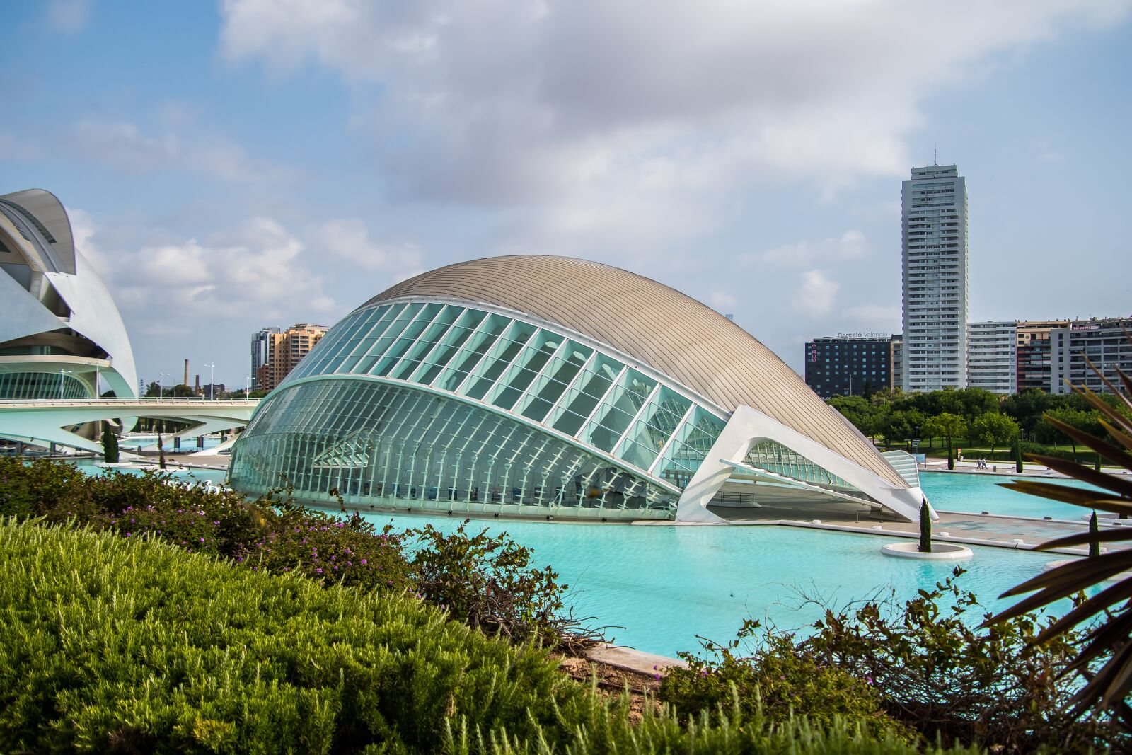 Nikon D7500 sample photo. Valencia, city of arts photography