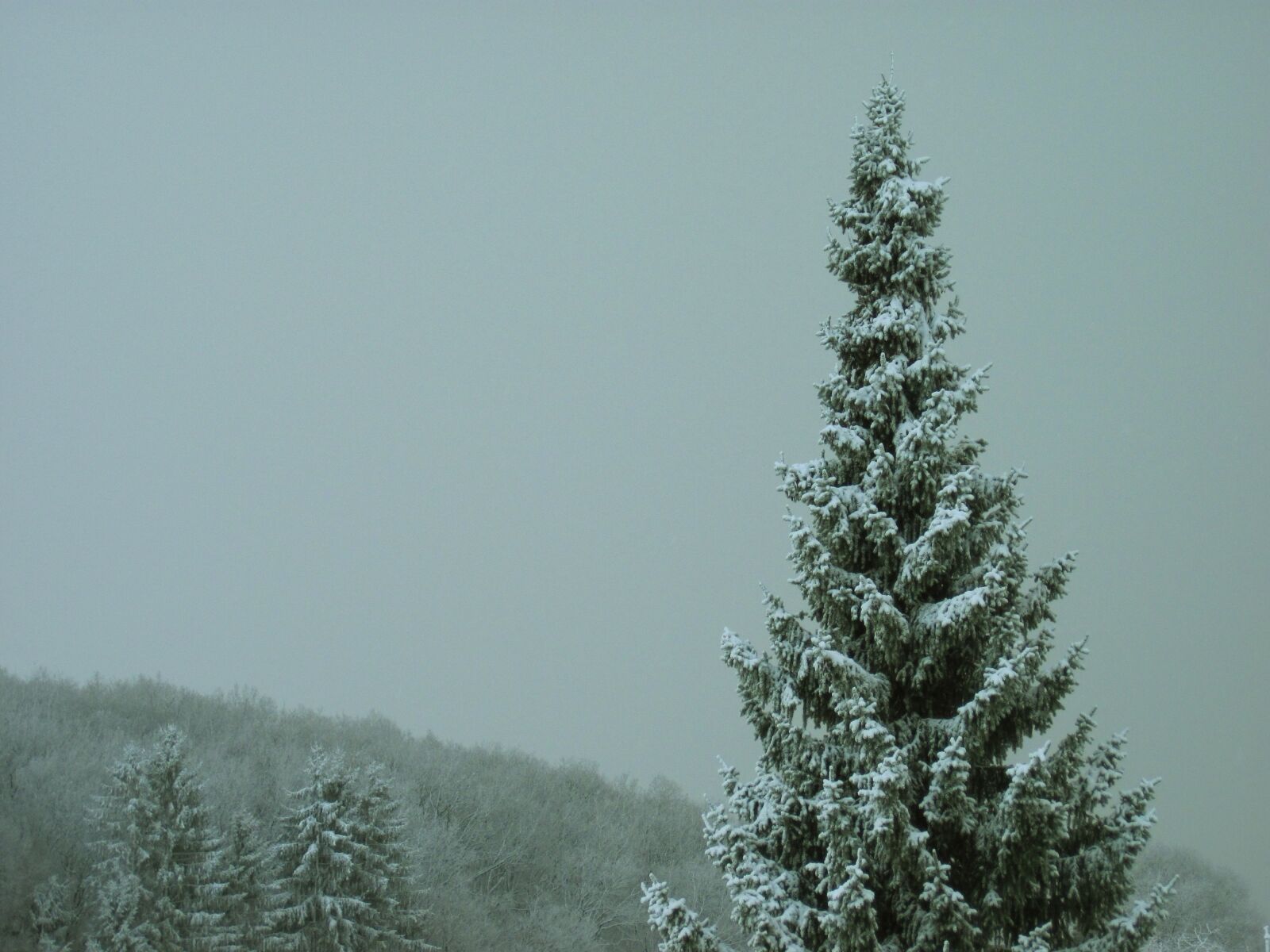 Canon PowerShot D10 sample photo. Winter, fog, frost photography