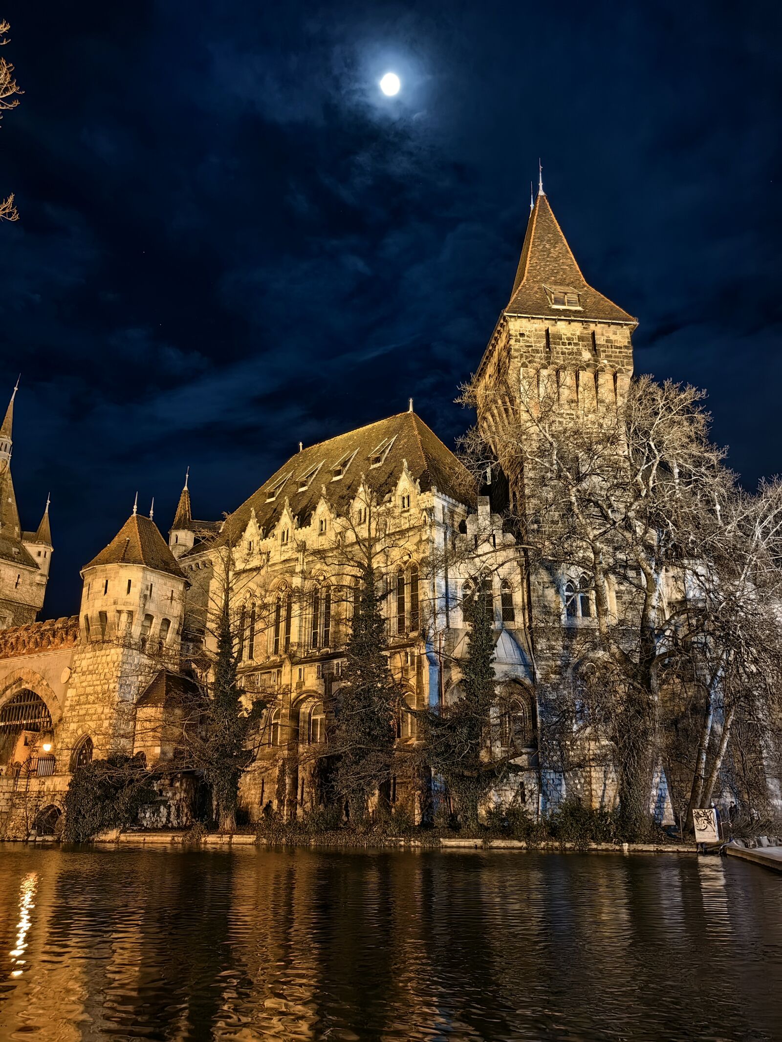 HUAWEI MATE 50 PRO sample photo