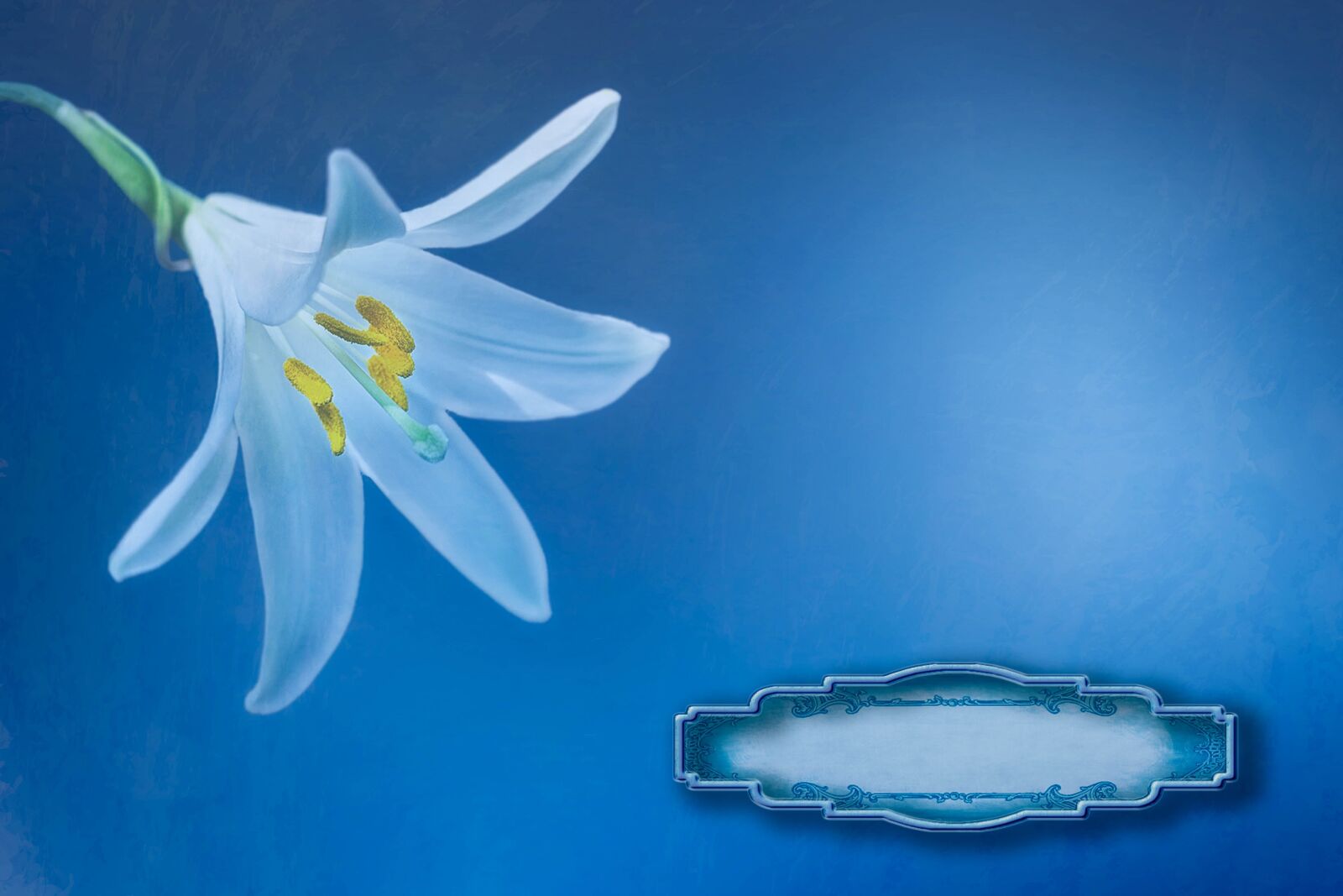 Canon EOS 50D sample photo. Blue, invitation, place card photography