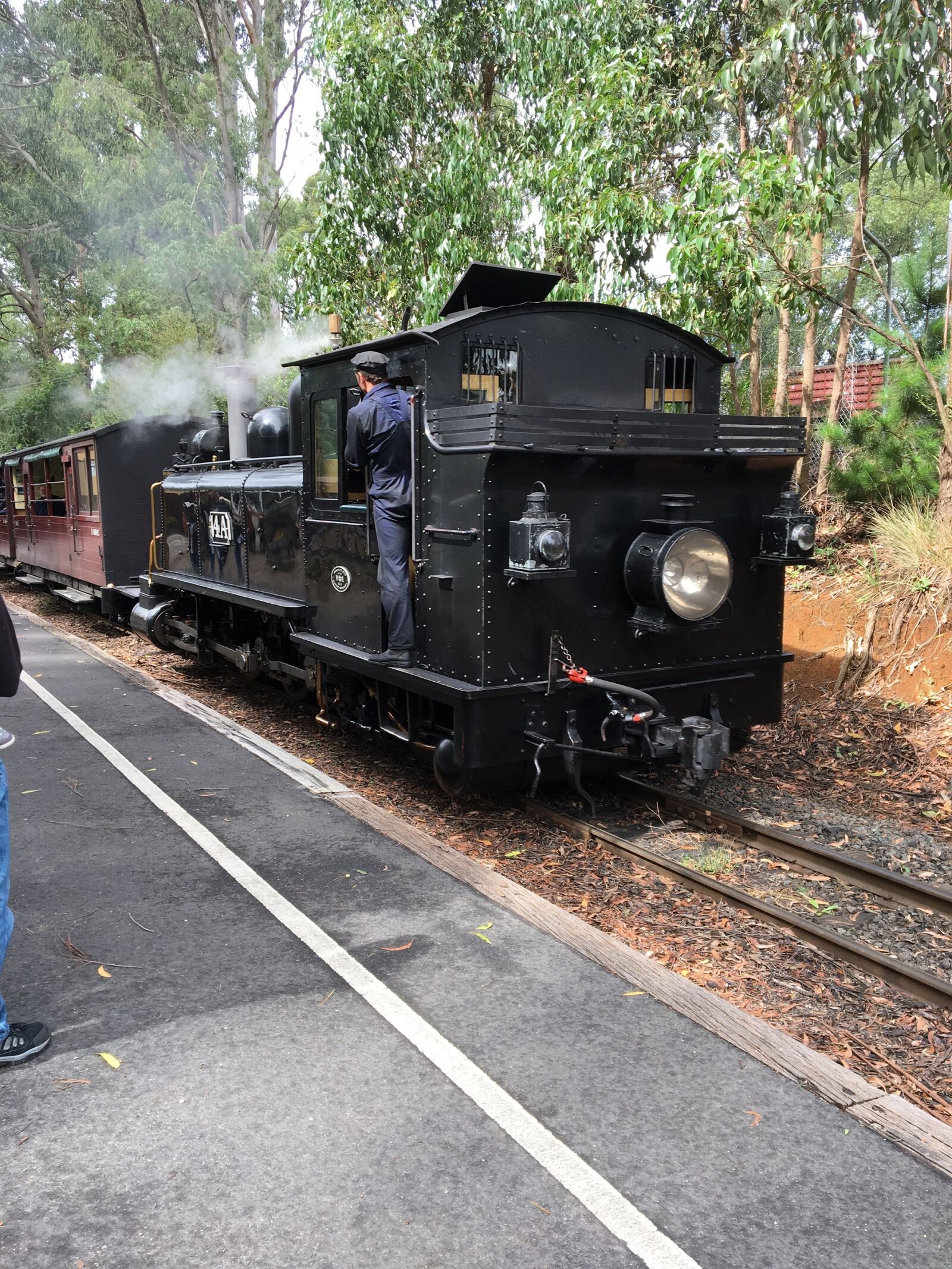Apple iPhone 6s sample photo. Steam locomotive, train, railroad photography