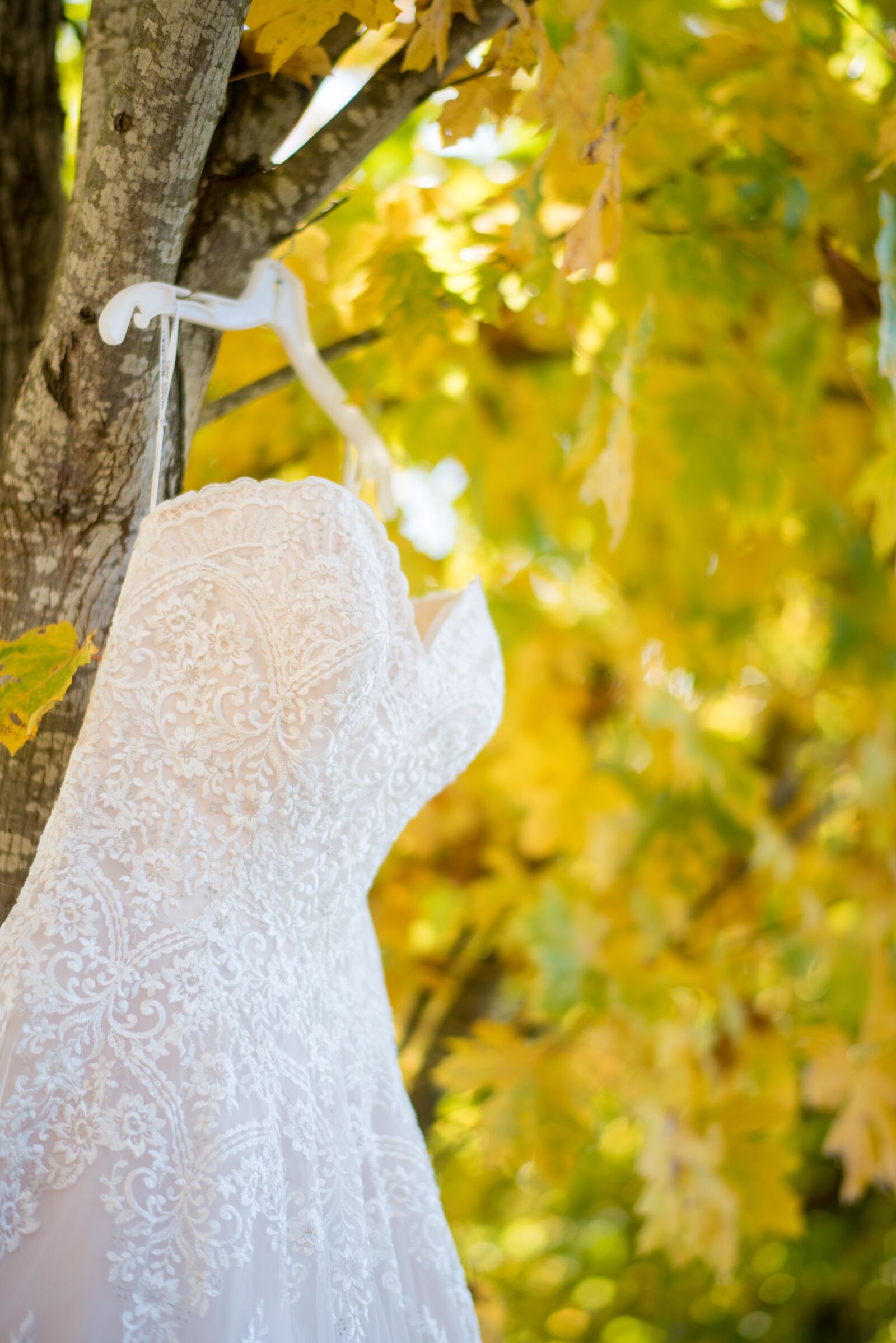Nikon D750 sample photo. Wedding, dress, wedding dress photography