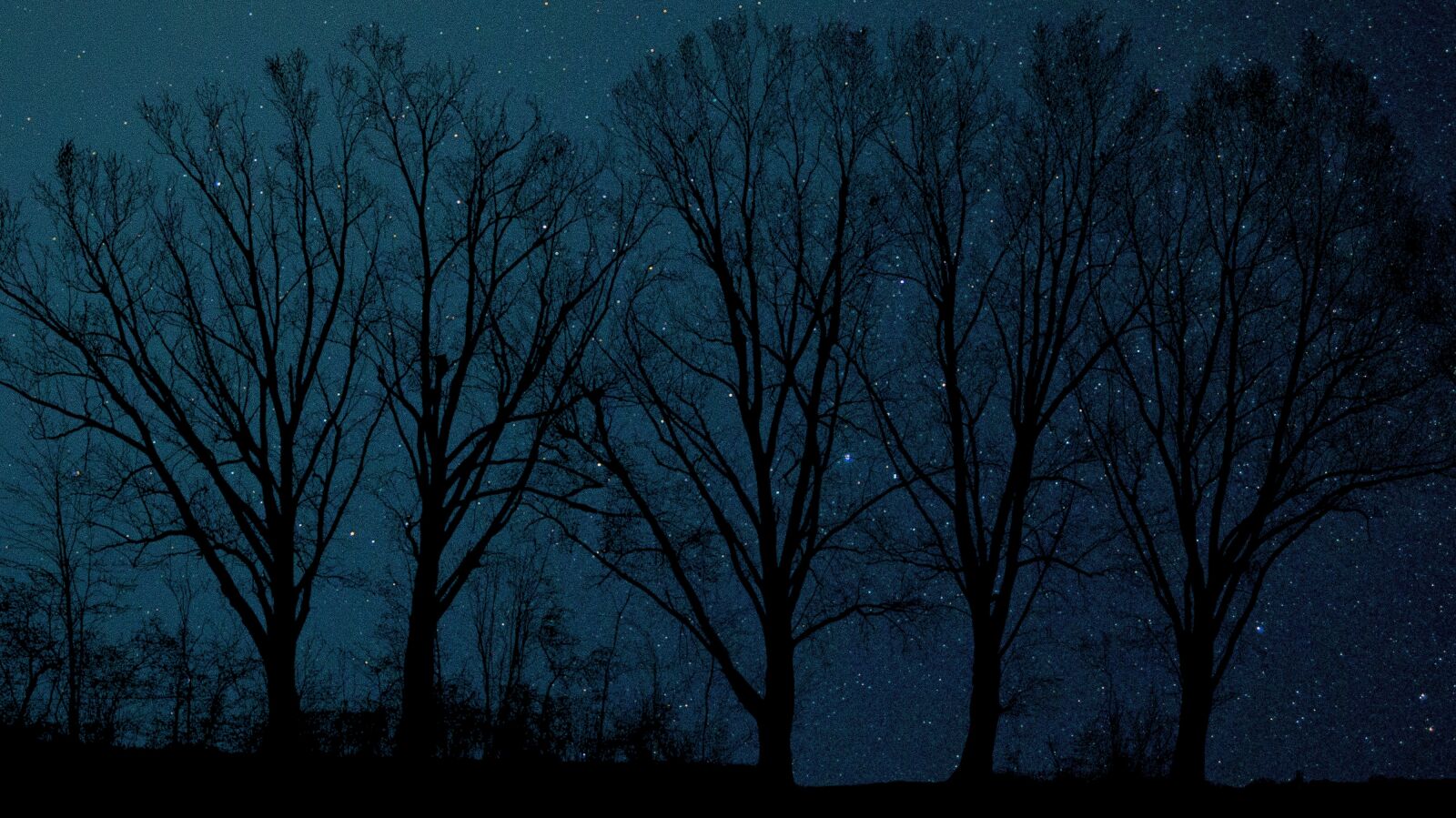 Panasonic Lumix DMC-FZ200 sample photo. Night, nature, sky photography