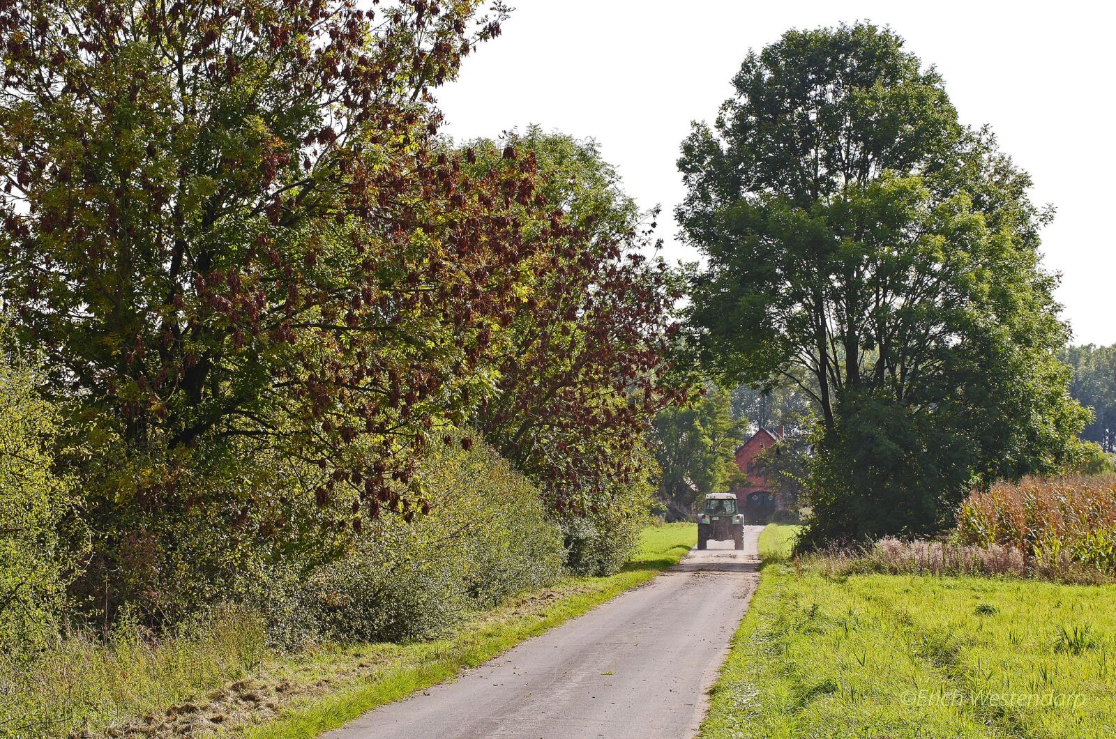 Panasonic Lumix DMC-GH3 sample photo. M nsterland, rural, dirt photography