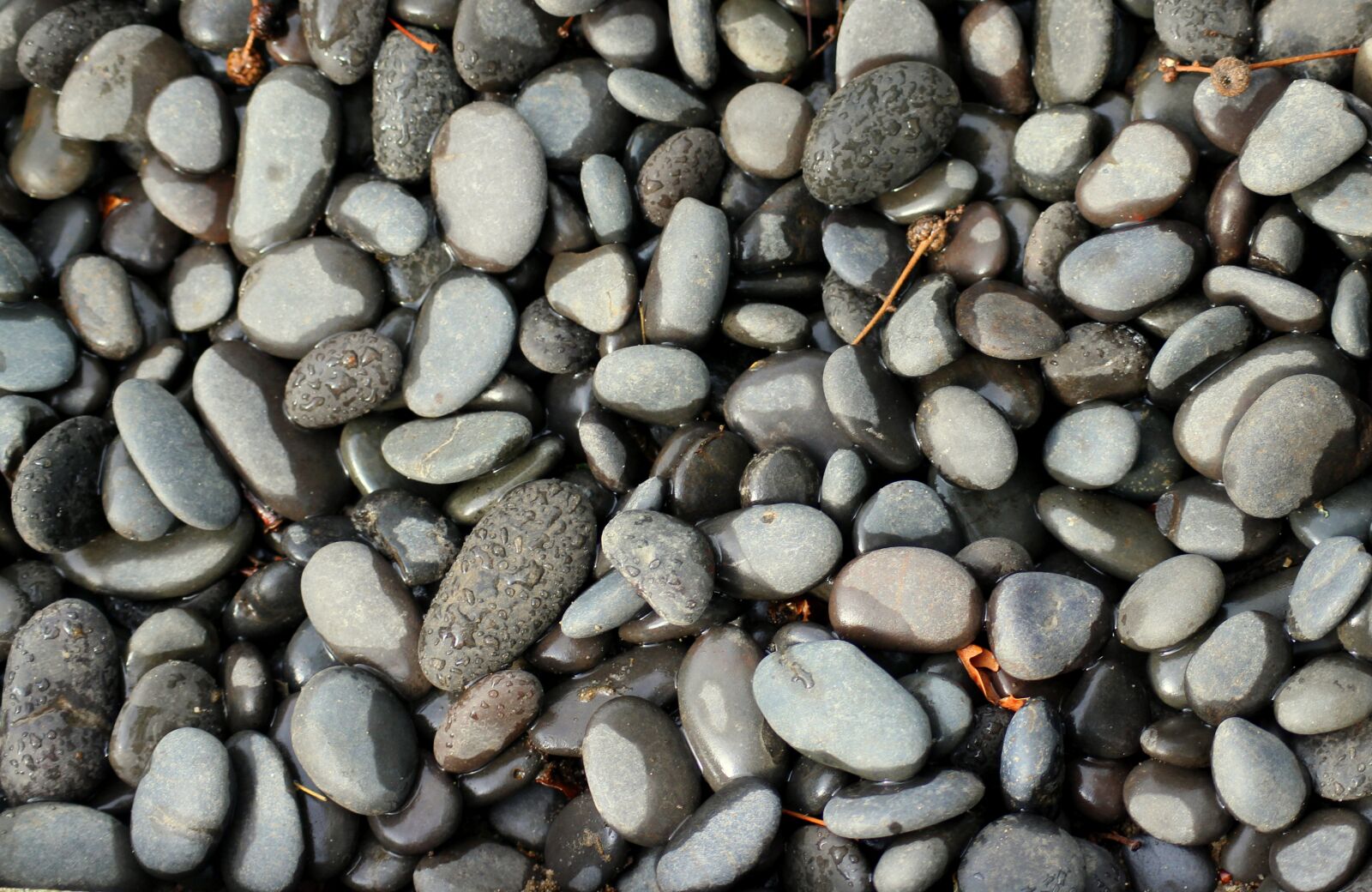 Canon EOS 1200D (EOS Rebel T5 / EOS Kiss X70 / EOS Hi) sample photo. Pebbles, dark, wet photography