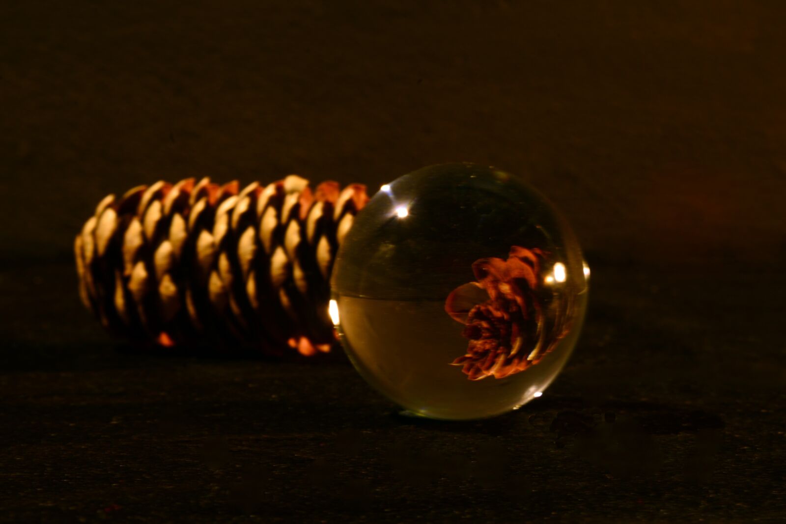 Nikon D610 sample photo. Composition, minilensball, pine cone photography