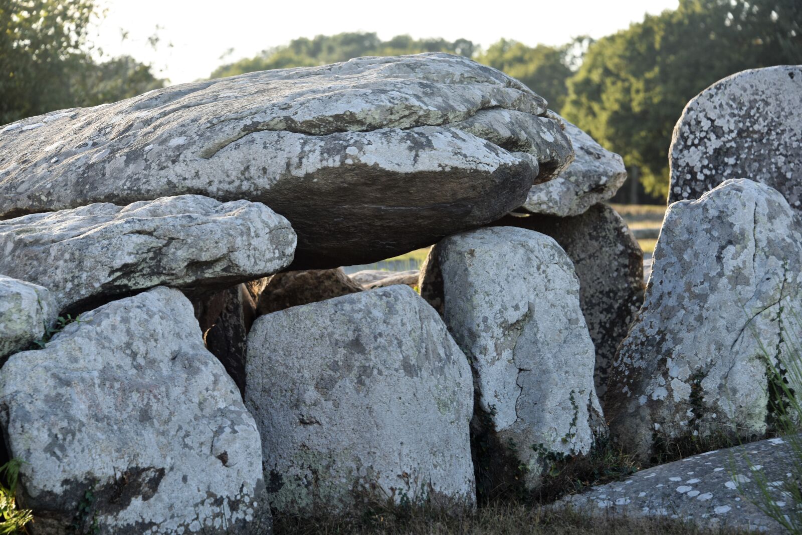 Nikon D810 sample photo. Alignments, carnac, france photography