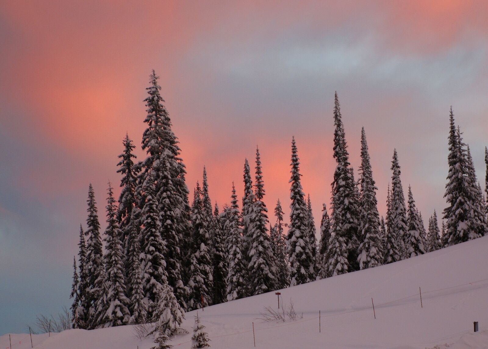 Canon EOS 70D sample photo. Landscape, snow scene, trees photography