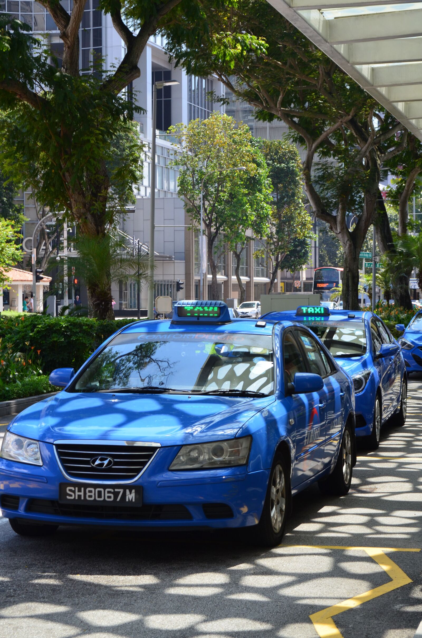 Nikon D5100 sample photo. Singapore, taxi, light and photography