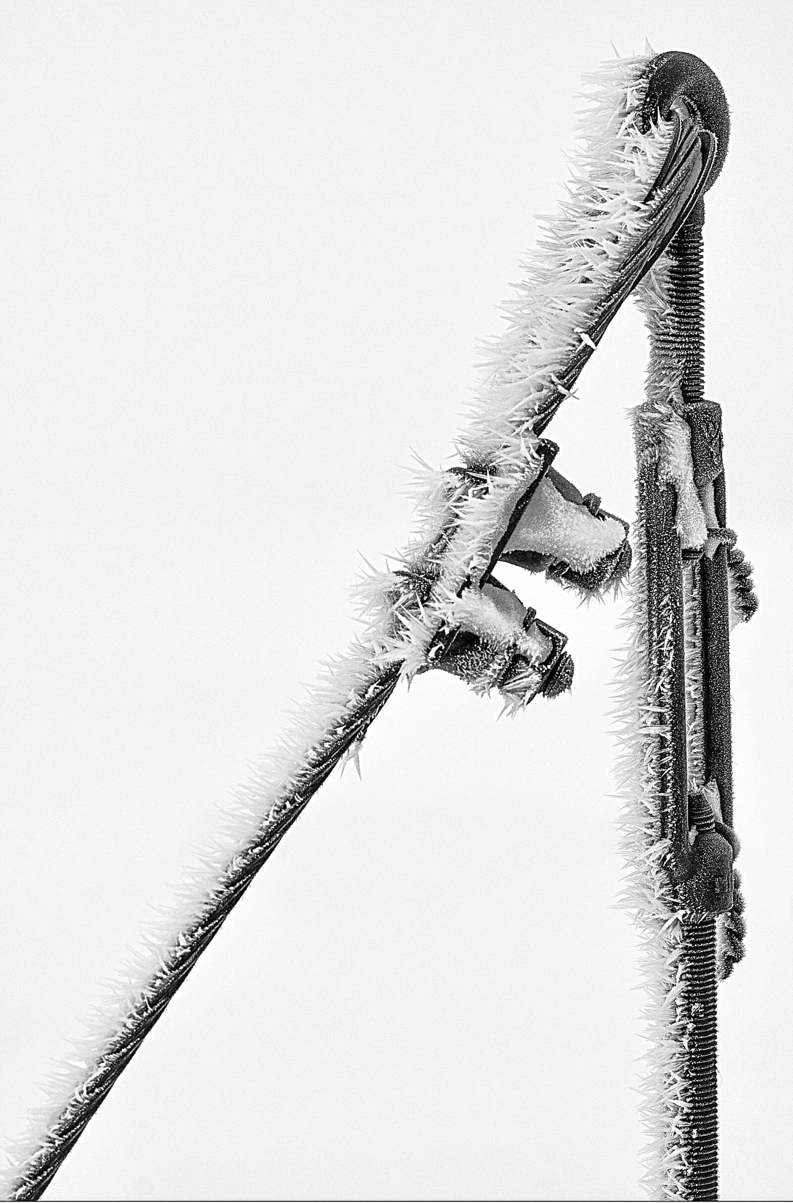 Nikon D300S sample photo. Power poles, winter, cold photography