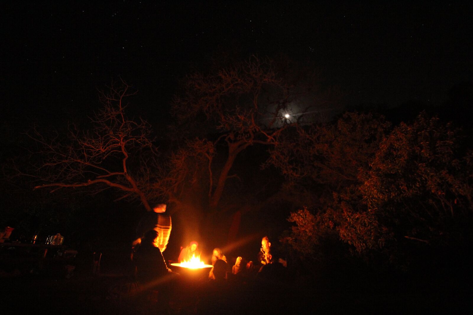 Canon EF-S 10-22mm F3.5-4.5 USM sample photo. Campfire, camping, leo, carrillo photography