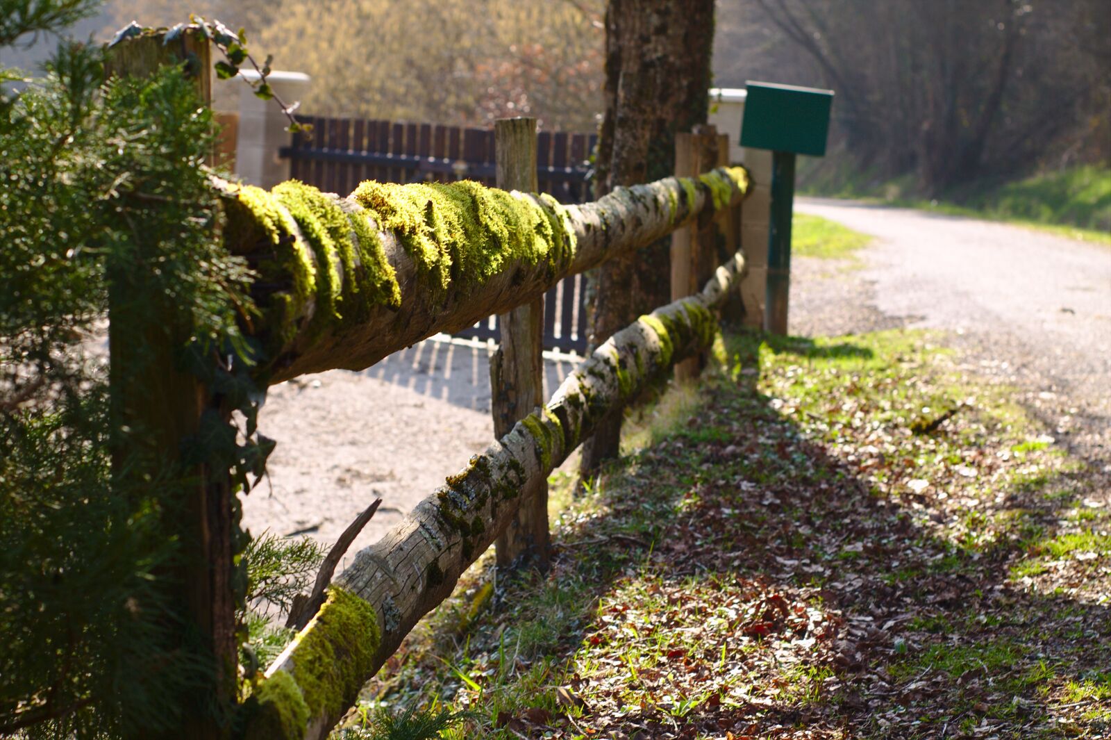Canon EOS 1100D (EOS Rebel T3 / EOS Kiss X50) sample photo. Barrier, path, wood photography