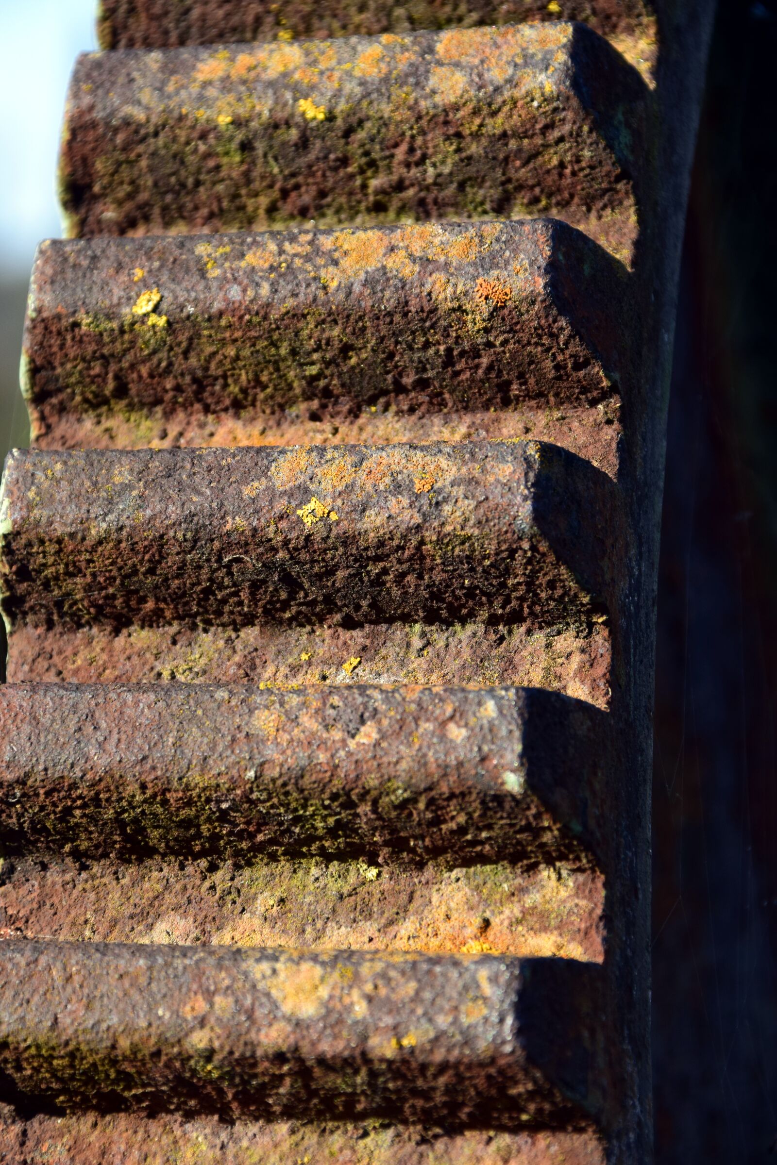 Nikon D3300 sample photo. Gear, rust, metal photography