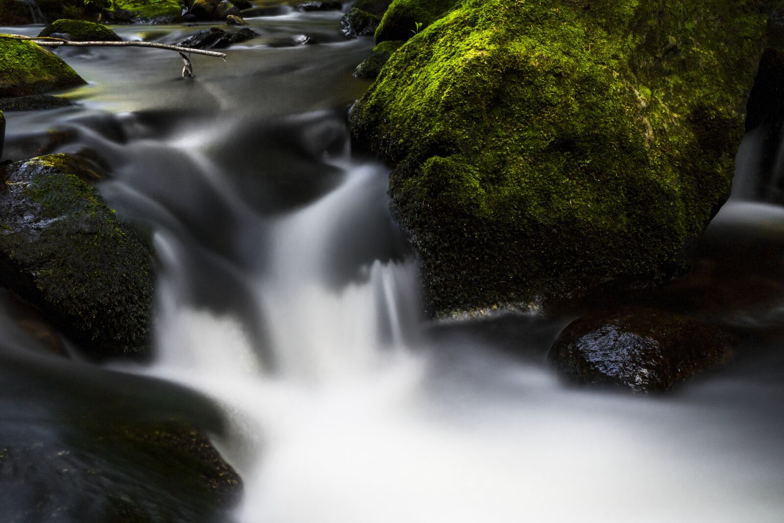 Sony a6300 + Sigma 30mm F2.8 EX DN sample photo. Water, river, nature photography