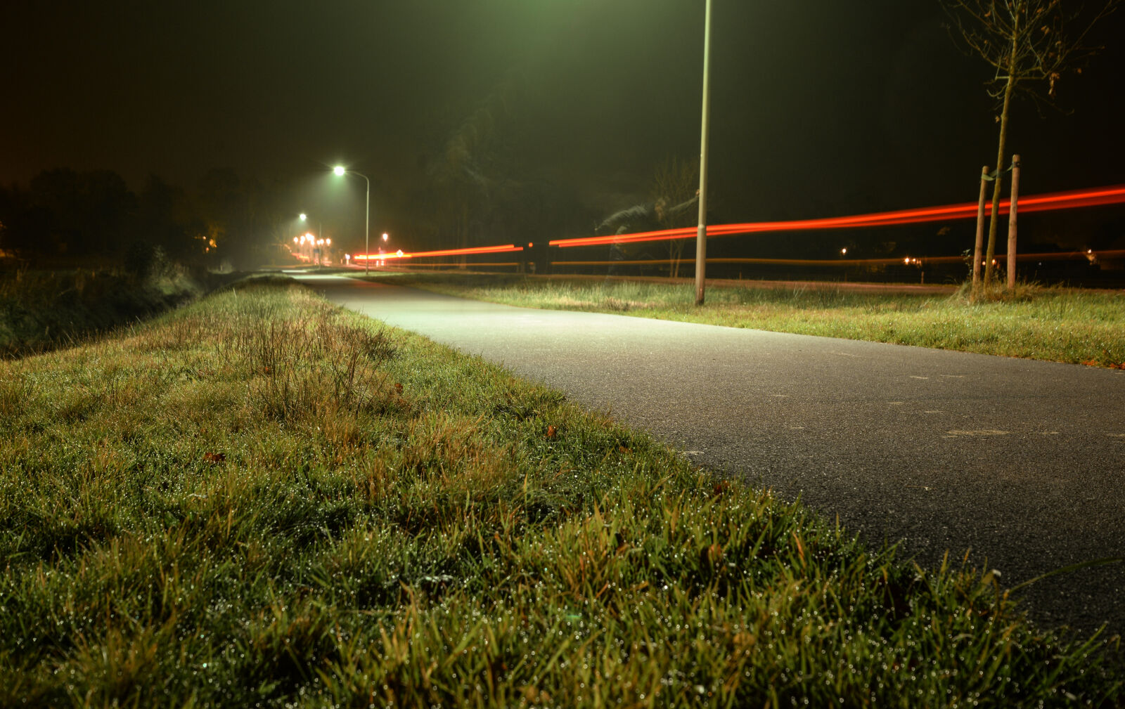 Nikon D610 sample photo