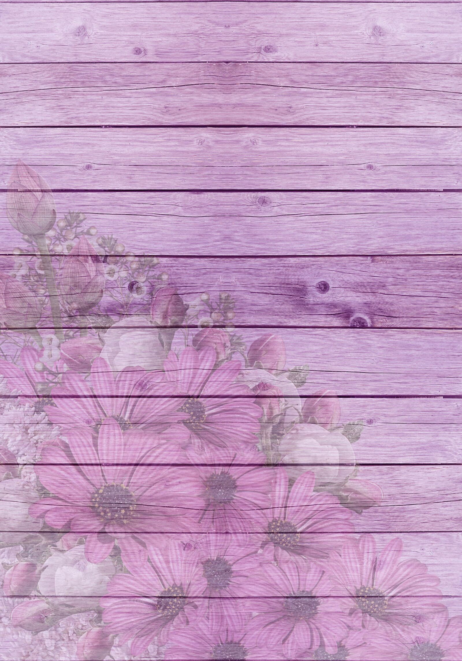Nikon D3200 sample photo. Gerbera, lilac, pink photography