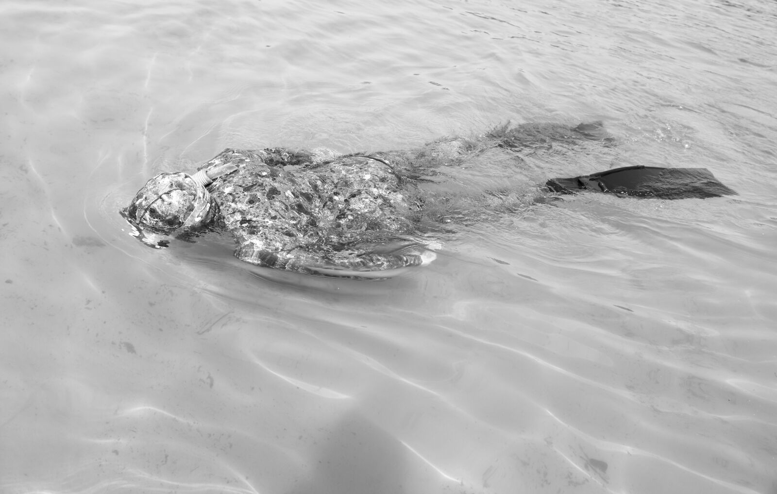 Canon EOS 750D (EOS Rebel T6i / EOS Kiss X8i) sample photo. Diving, water, black and photography