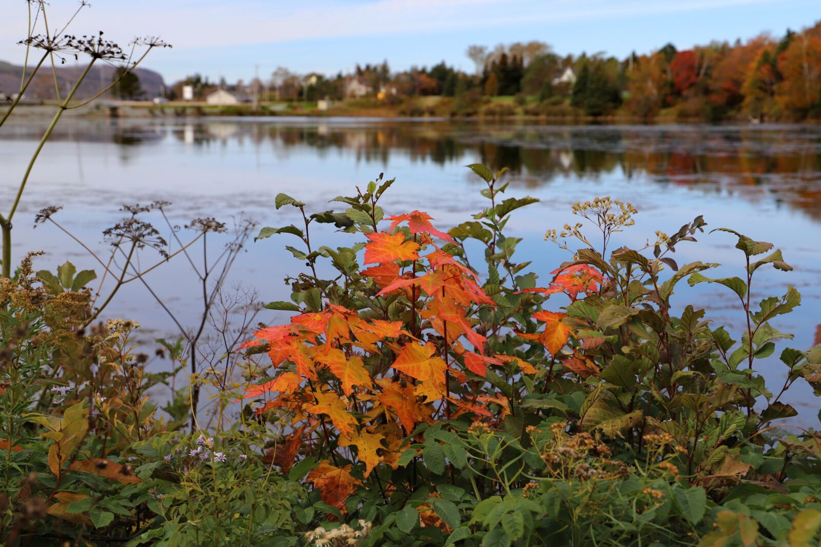 Canon EOS 6D Mark II + Canon EF 24-105mm F3.5-5.6 IS STM sample photo. Lake, autumn, canada photography