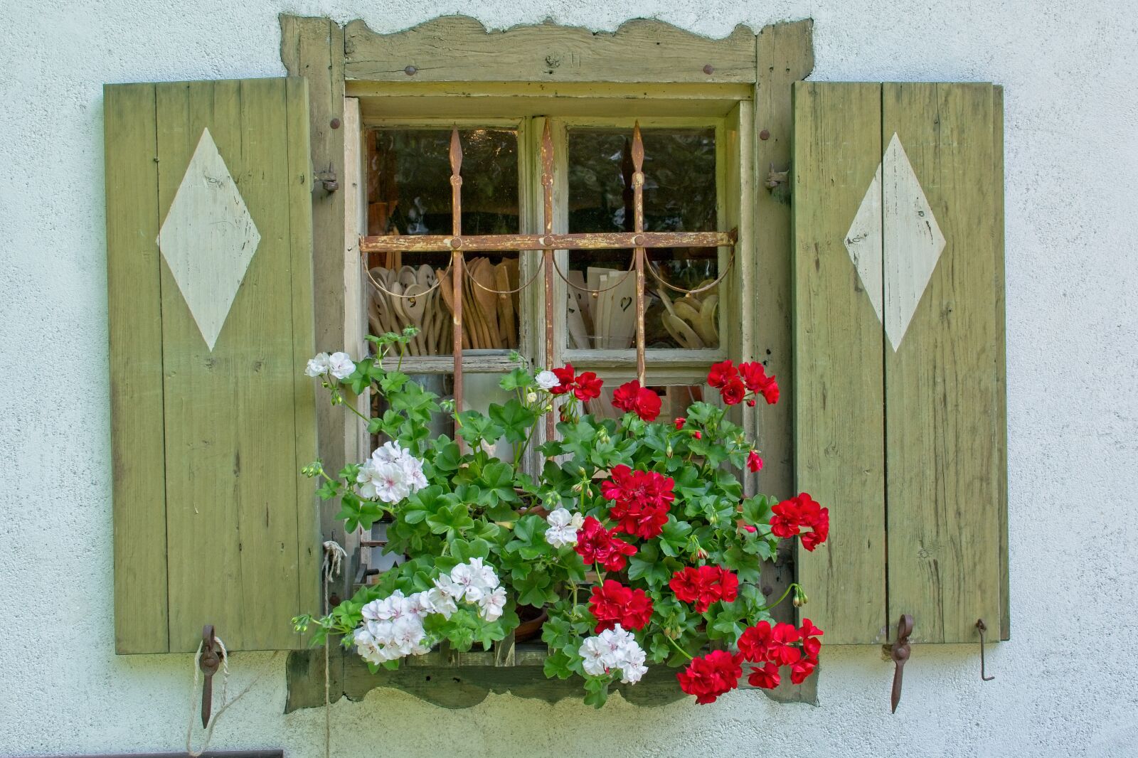 Nikon AF-S DX Nikkor 35mm F1.8G sample photo. Window, flower, flowers photography