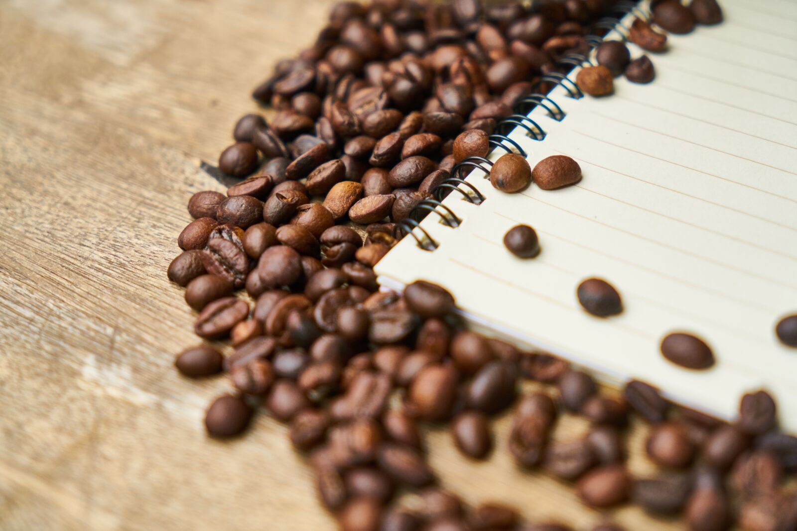 Sony a7R II sample photo. Notebook, coffee, course photography