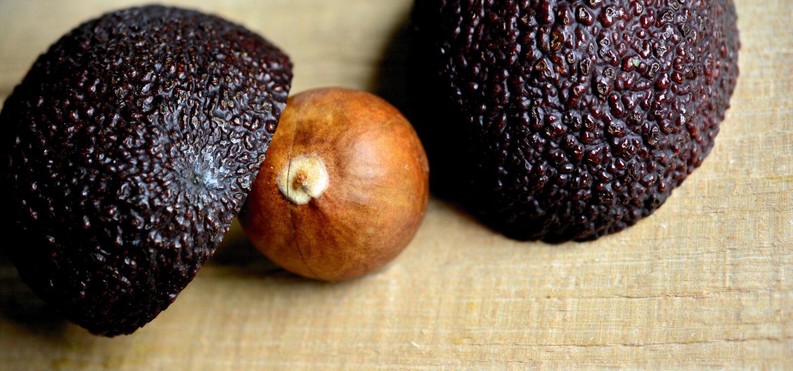 Nikon D5200 sample photo. Avocado, avocado core, avocado photography