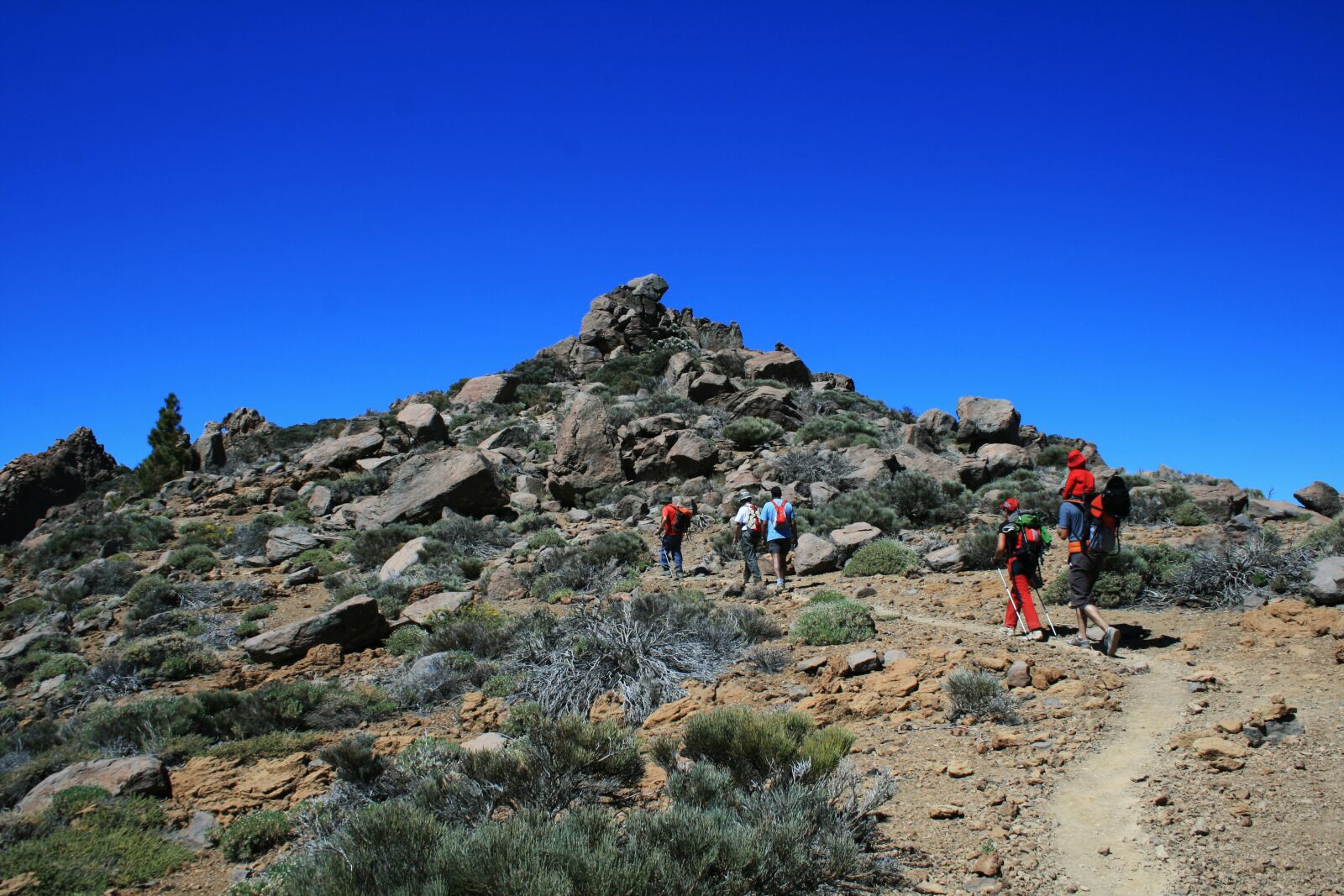Canon EOS 400D (EOS Digital Rebel XTi / EOS Kiss Digital X) sample photo. Canary islands, teide national photography