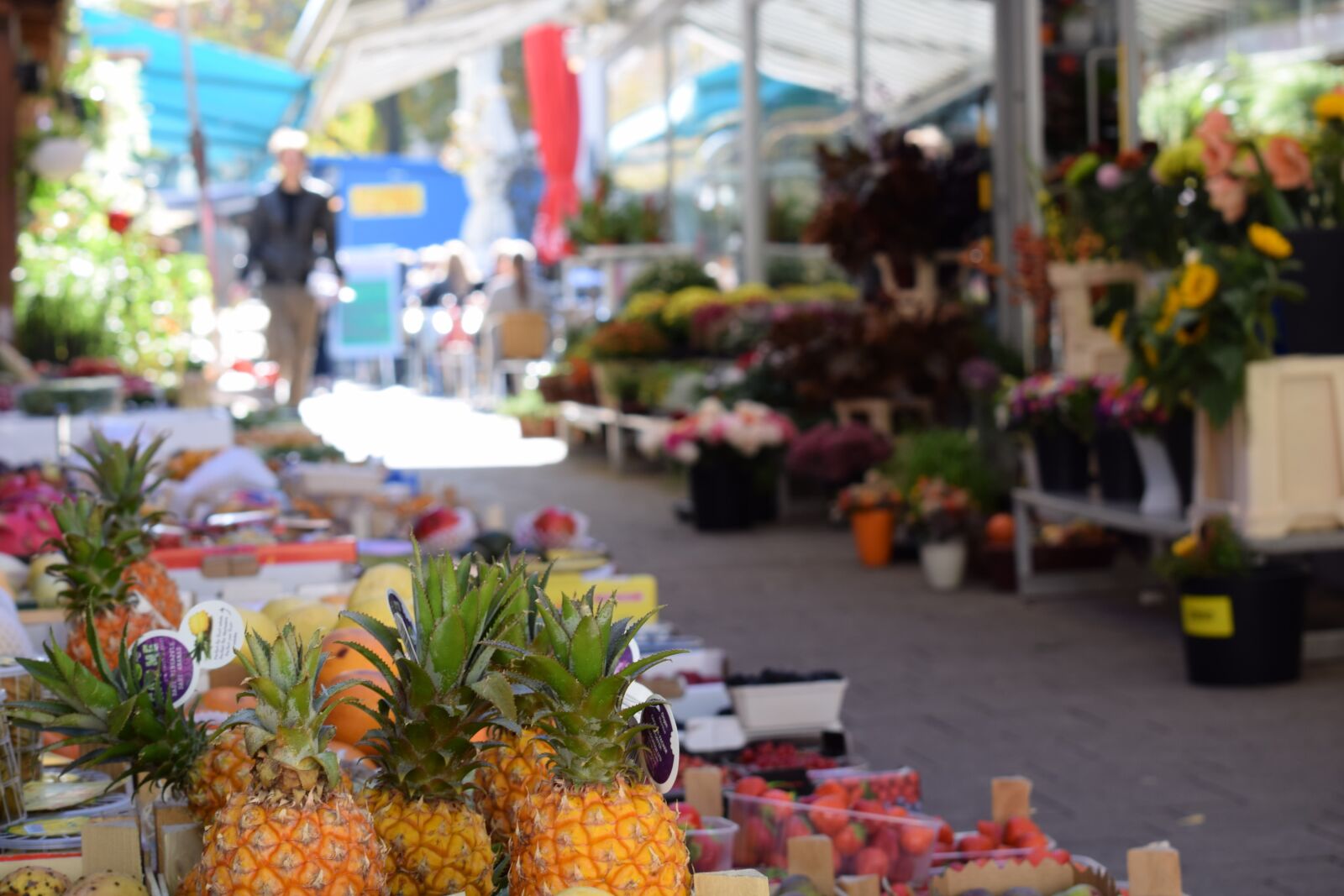 Nikon D5300 sample photo. Market, vienna, fruit photography