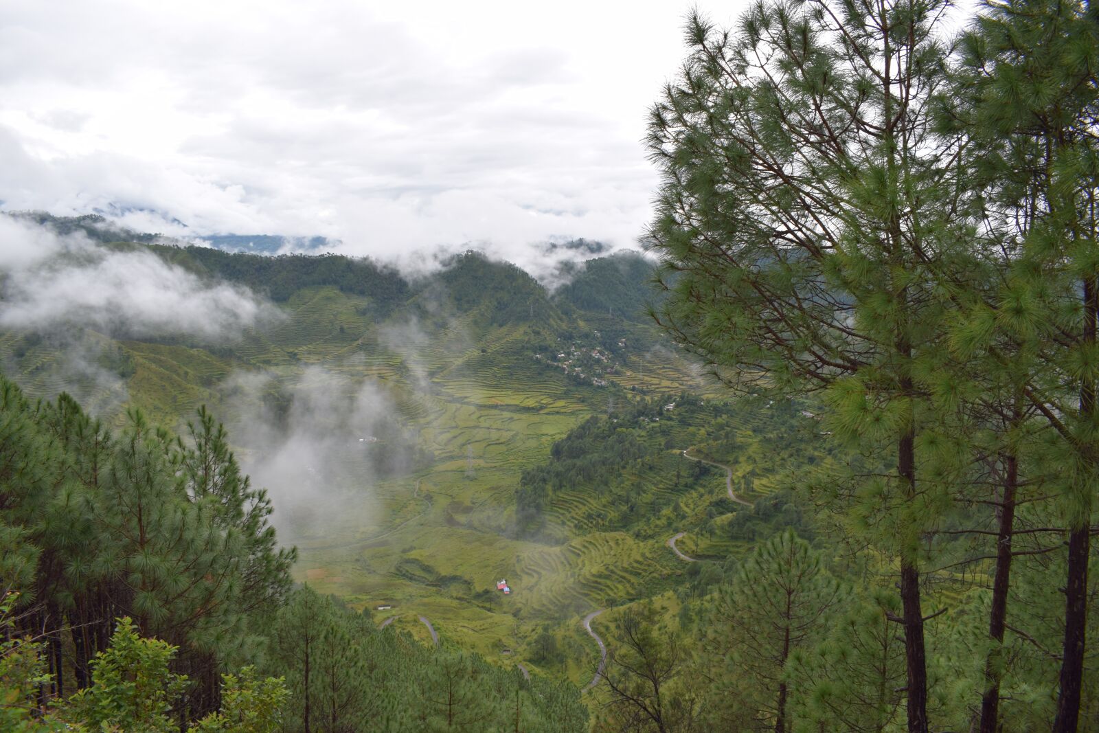 Nikon D5300 sample photo. Clouds, green, meadow photography