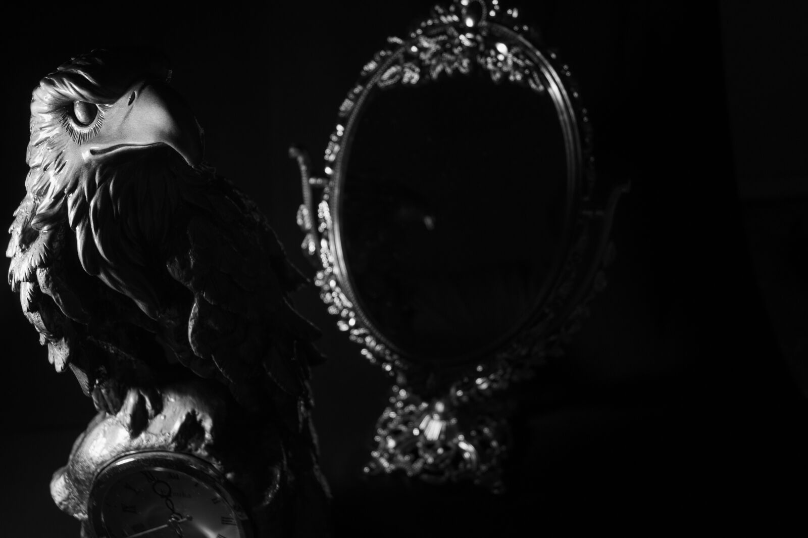 Sony SLT-A58 sample photo. Eagle, mirror, design photography