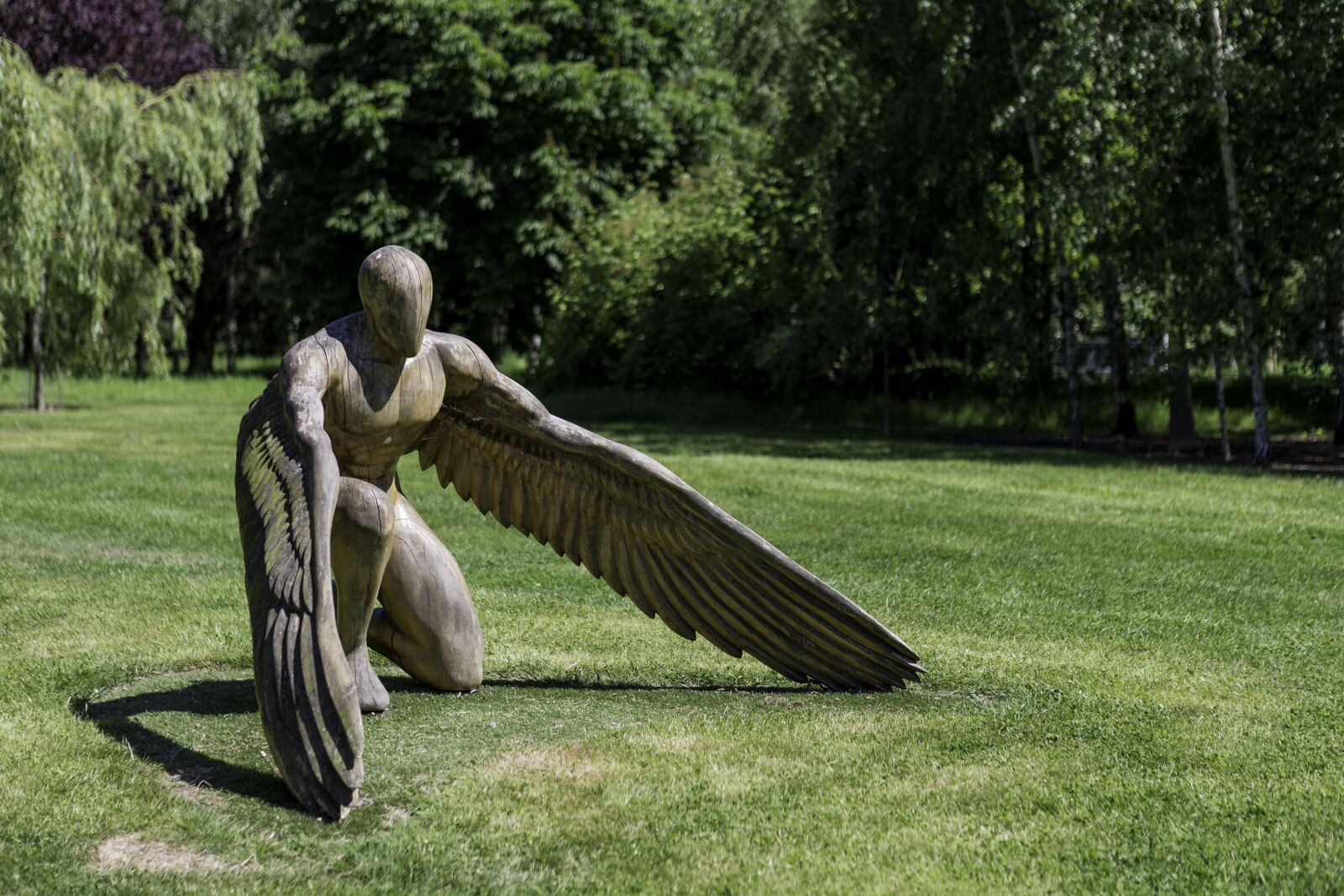 Canon EOS-1D X sample photo. Garden sculpture, greer the photography