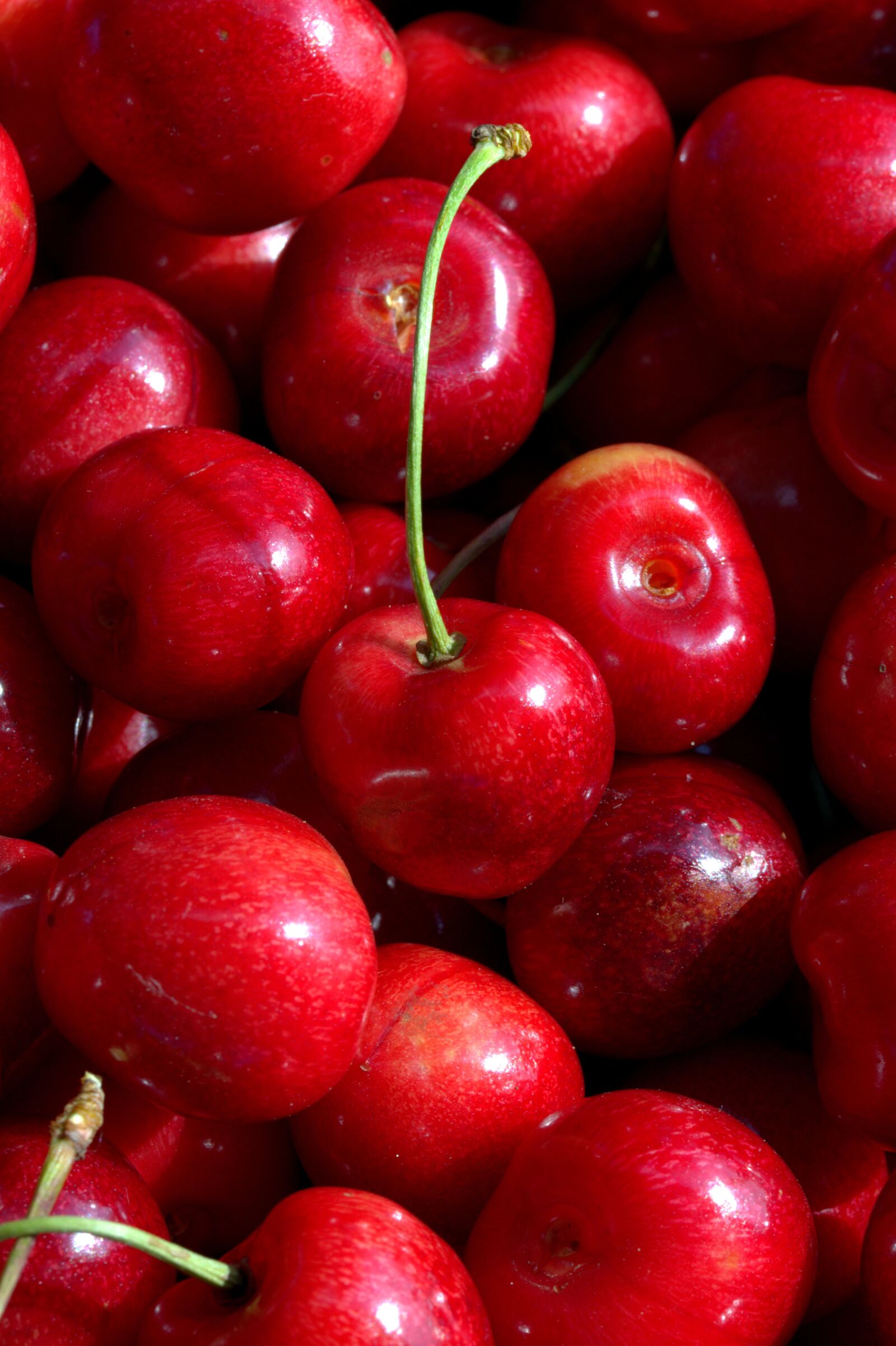 Nikon D5200 sample photo. Cherries, fruit, fruits photography