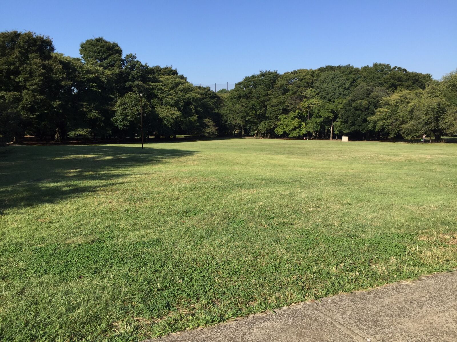 iPhone 6 Plus back camera 4.15mm f/2.2 sample photo. Green, shiba, sky photography
