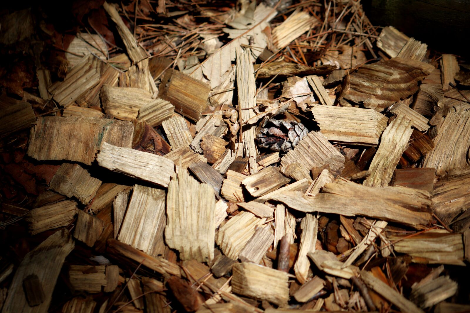 Canon EOS 7D Mark II sample photo. Wood, floor, wood carvings photography