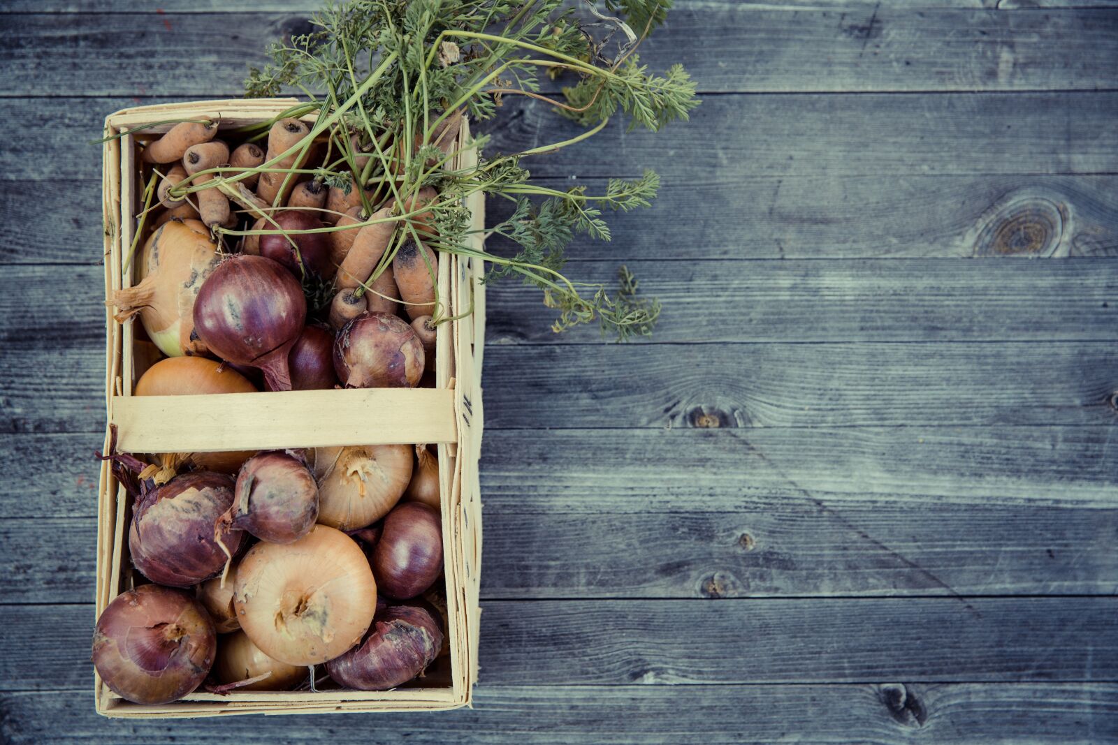 Canon EF 24-70mm F2.8L II USM sample photo. Vegetables, harvest, cultivation photography