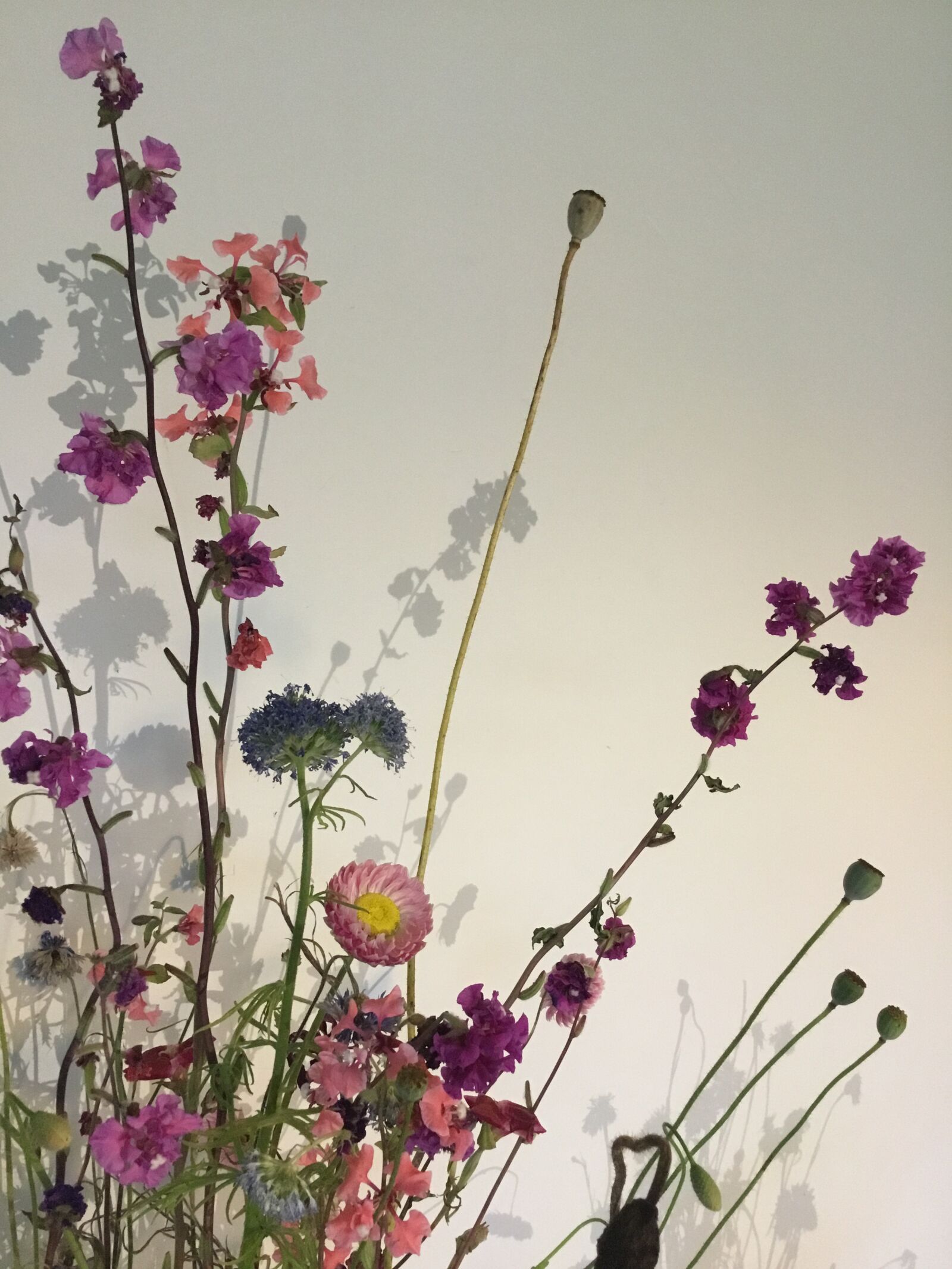 Apple iPad (5th generation) sample photo. Withered, vase, pink photography