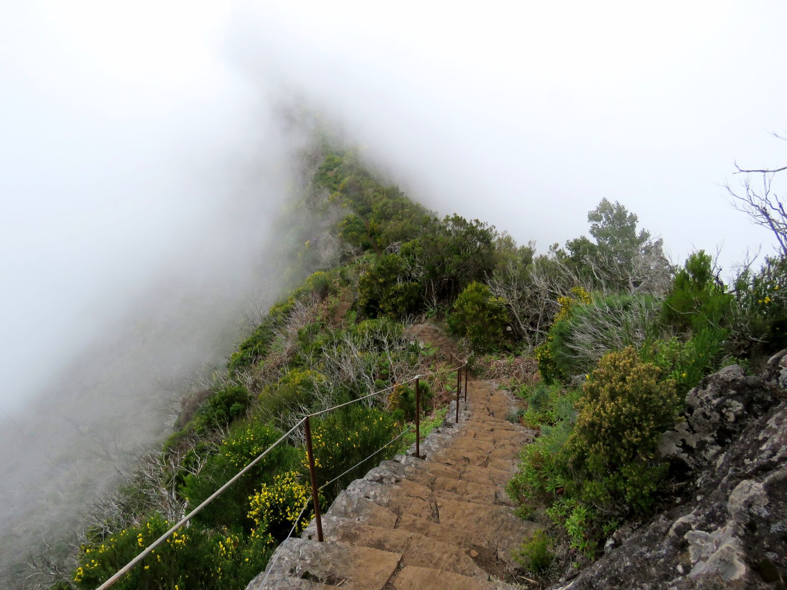 Canon PowerShot SX60 HS sample photo. The fog, stairs, mountains photography