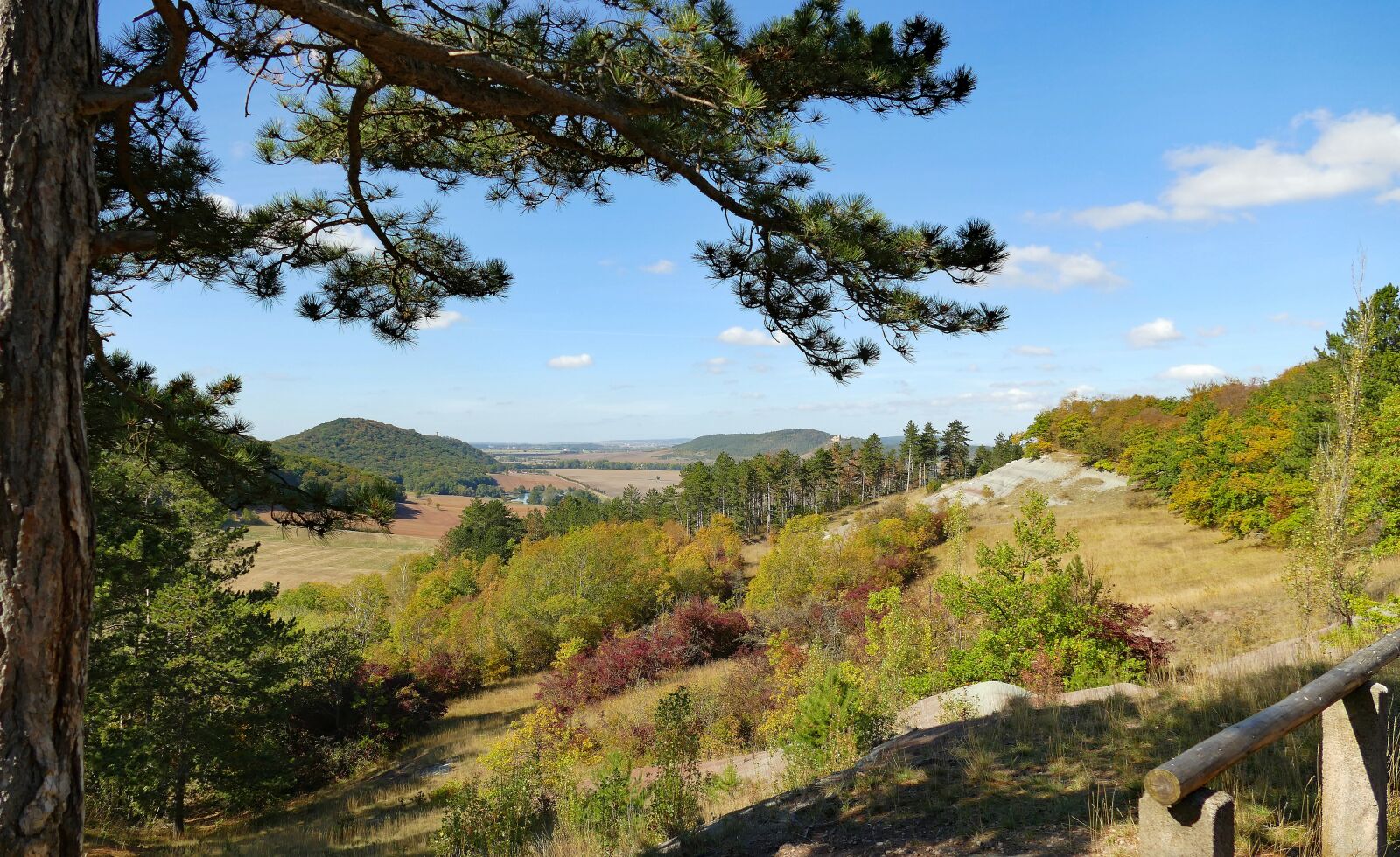Panasonic Lumix DMC-FZ1000 sample photo. Trail, view, nature photography