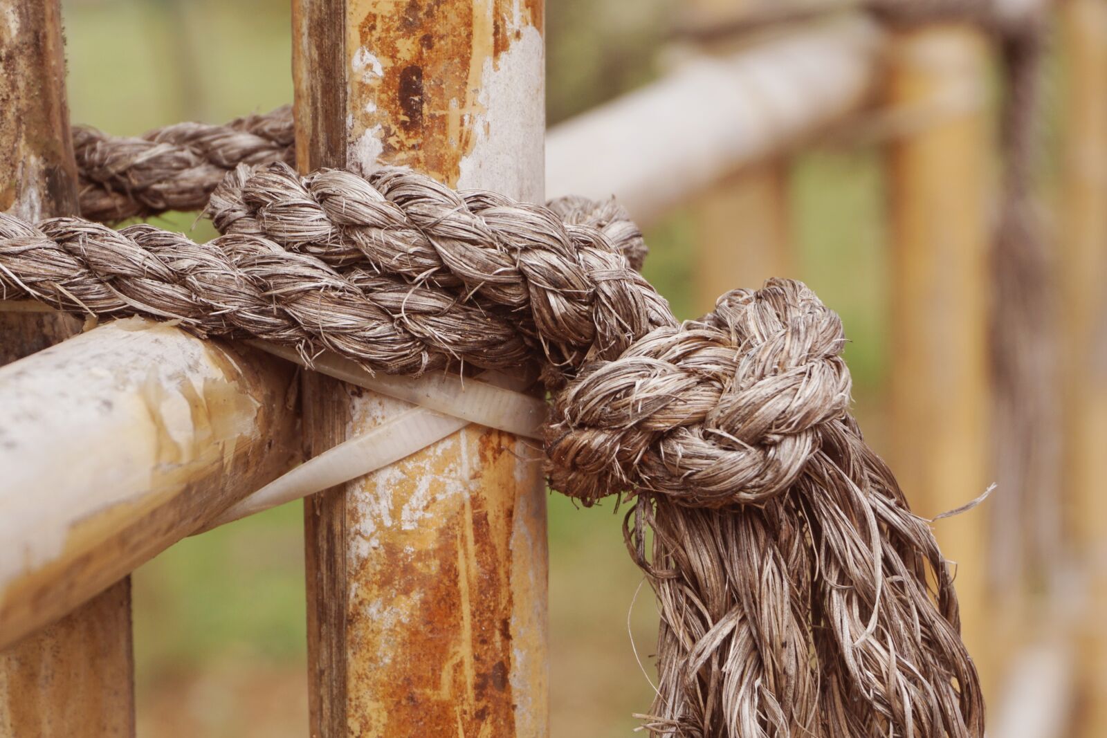 Sony a5100 sample photo. Rope, vintage, old photography