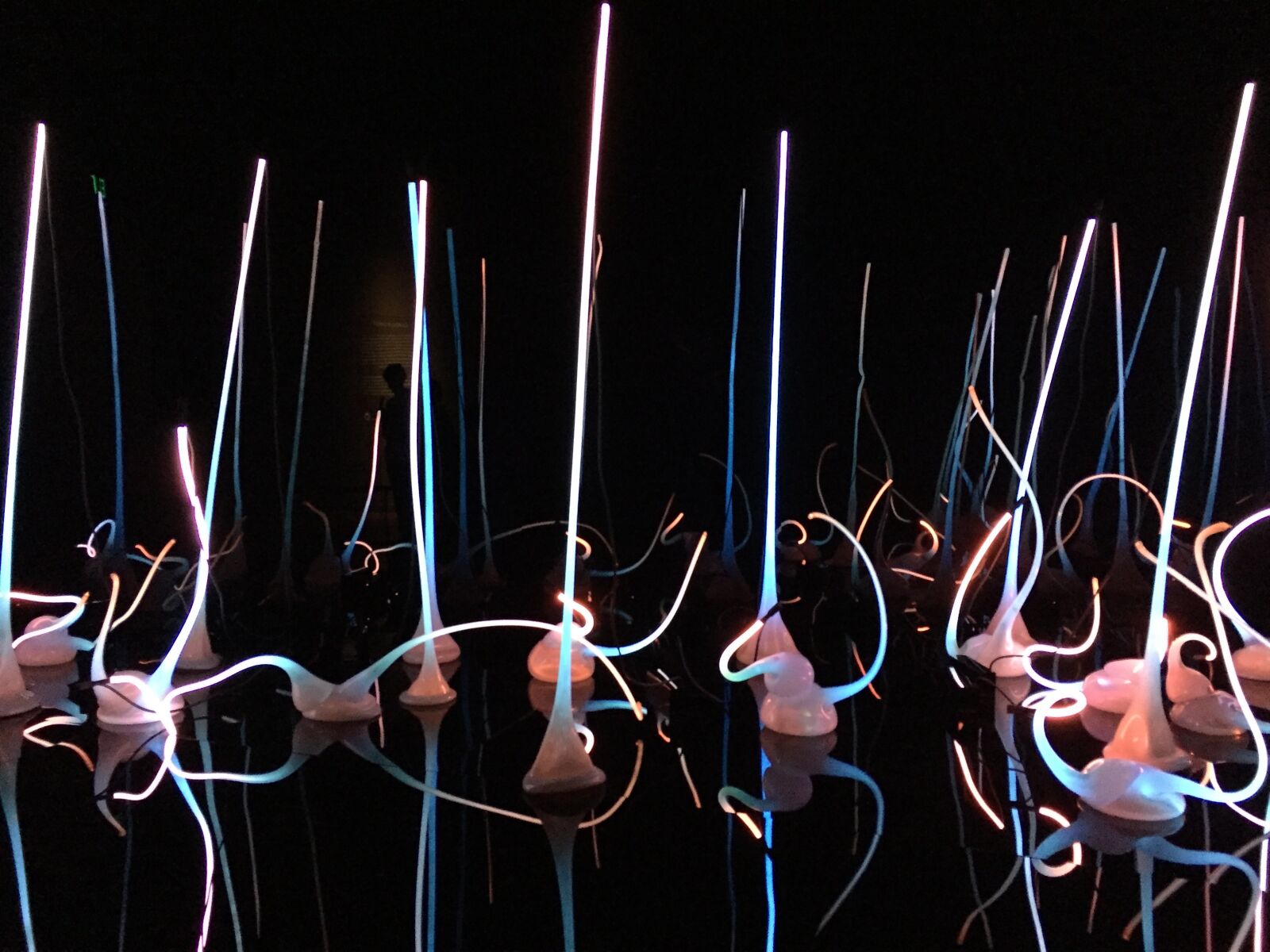 Apple iPhone 6 sample photo. Lights, arts, museum photography