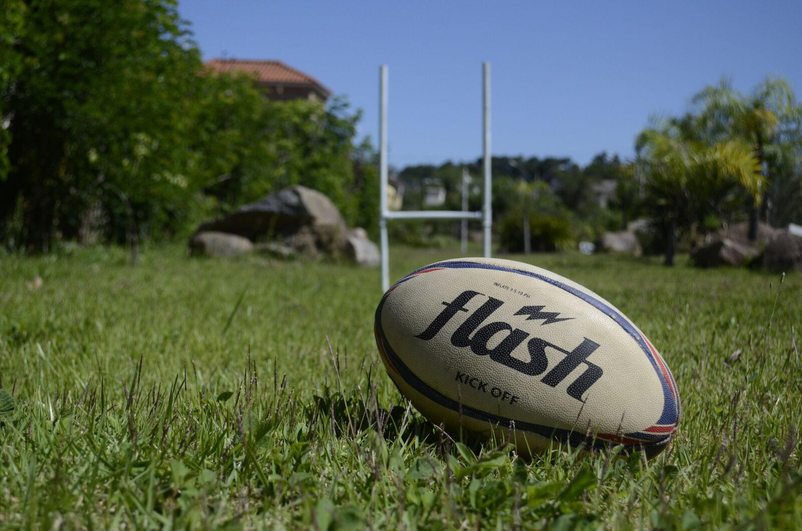 Nikon D5100 sample photo. Rugby, sport, ball photography