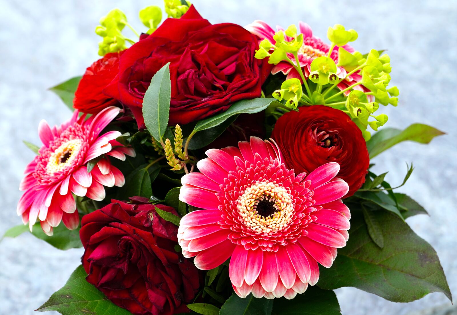 Sony E PZ 18-105mm F4 G OSS sample photo. Bouquet, colorful, flowers photography