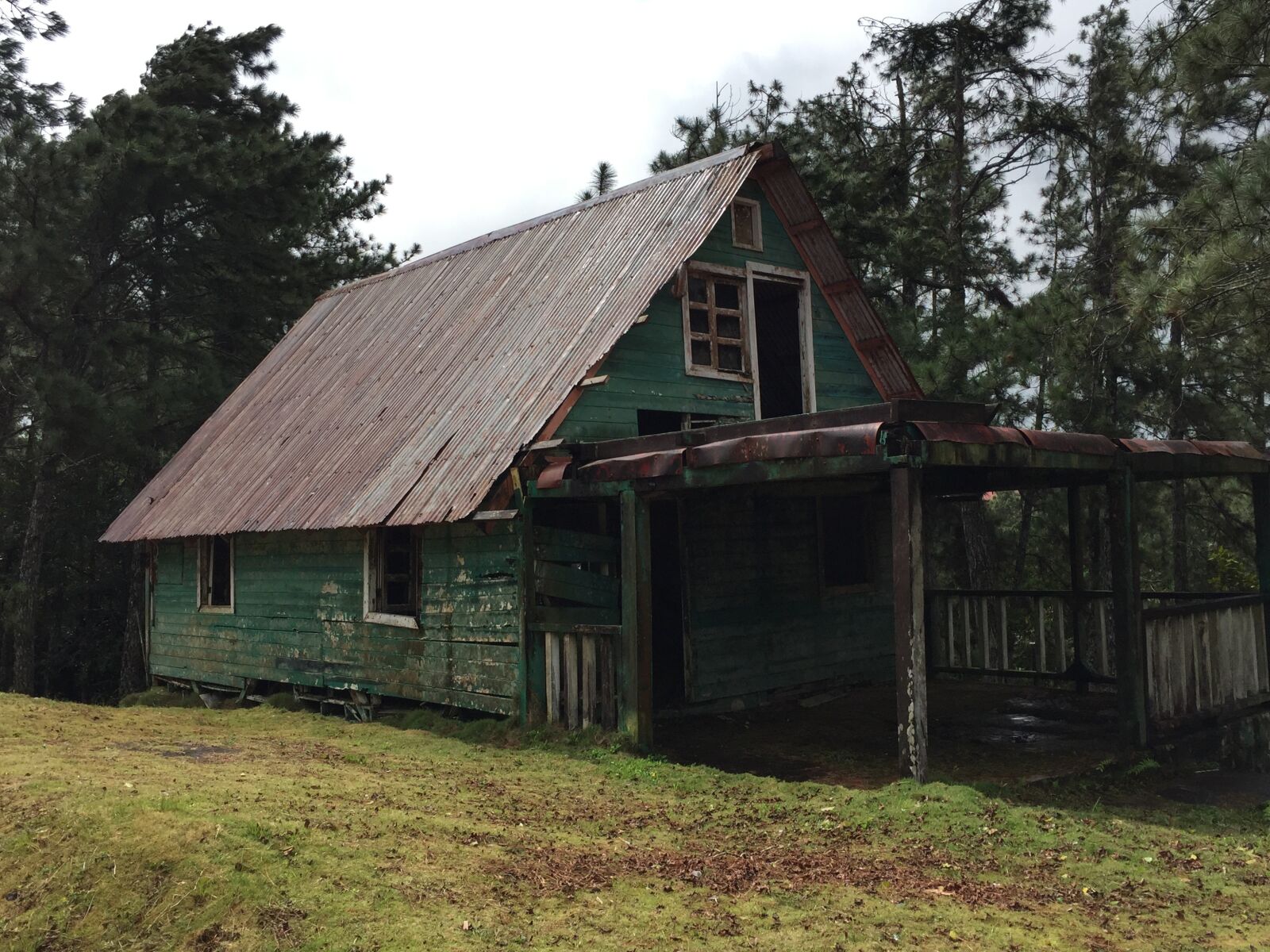 Apple iPhone 6 sample photo. Haunted house, witch, horror photography