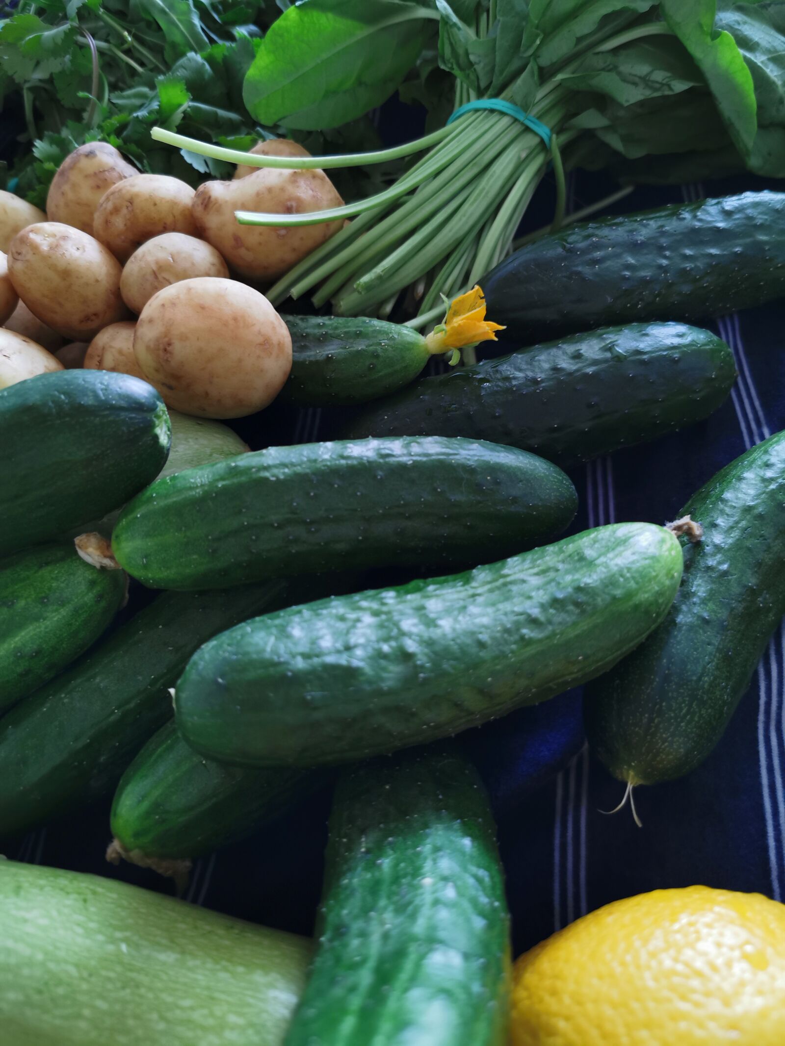 HUAWEI P30 Pro sample photo. Vegetables, cucumbers, potatoes photography