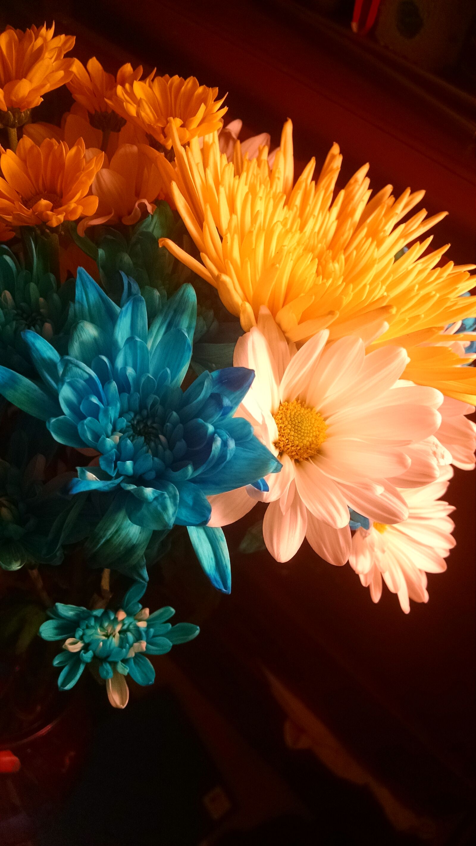 Motorola Moto X (1st Gen) sample photo. Birthday, flowers, gift, nature photography
